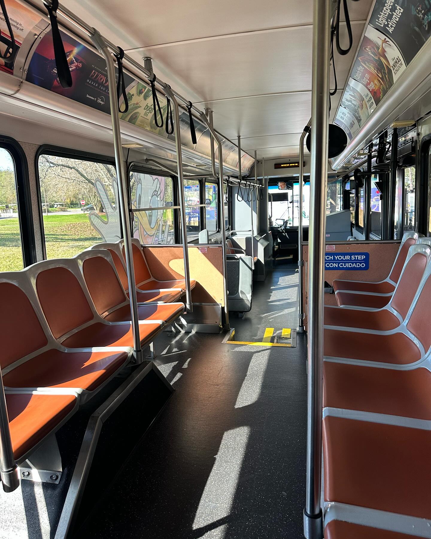 Queen of the Disney bus!