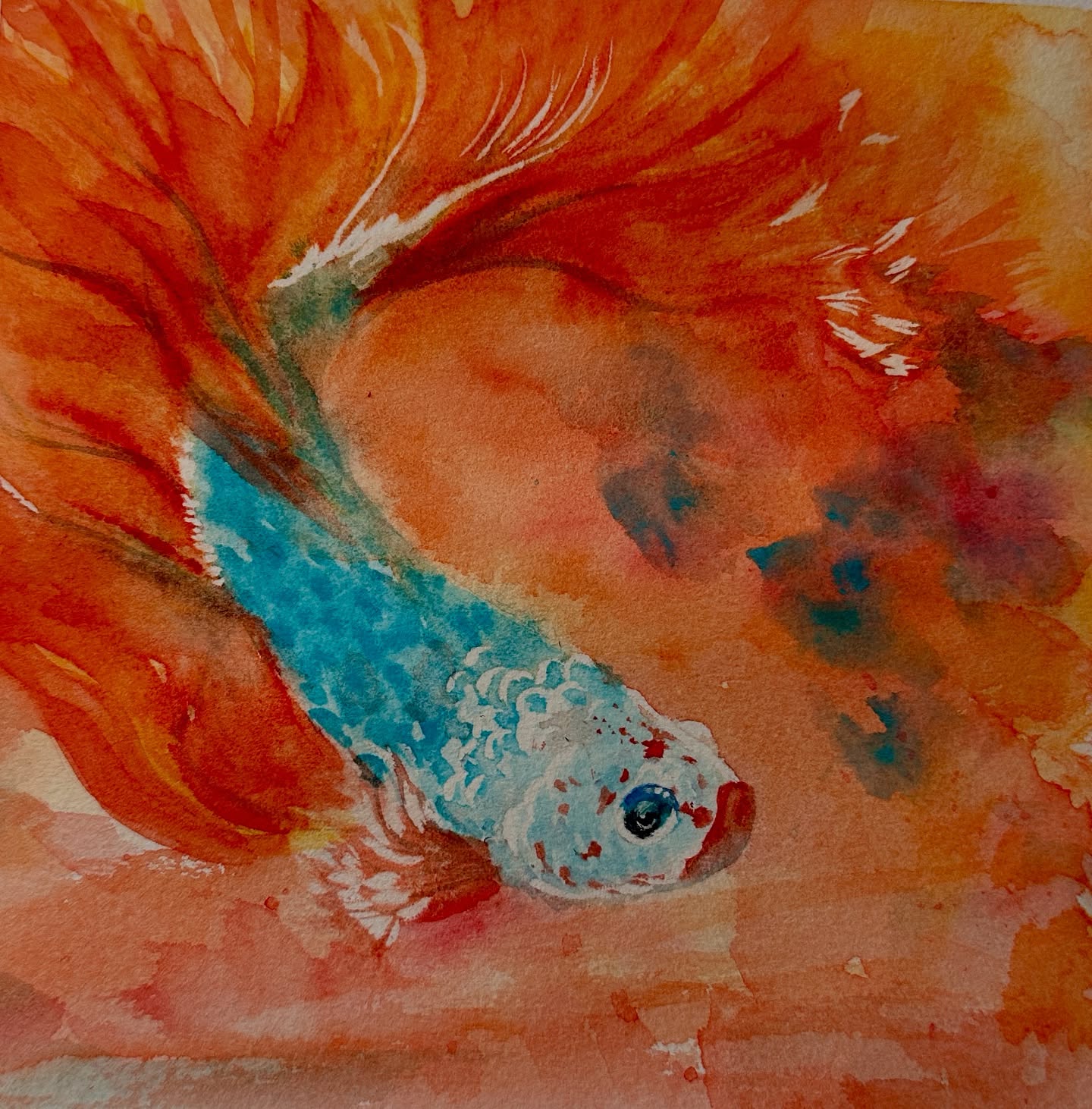 vivid movement in warm washes
#watercolors