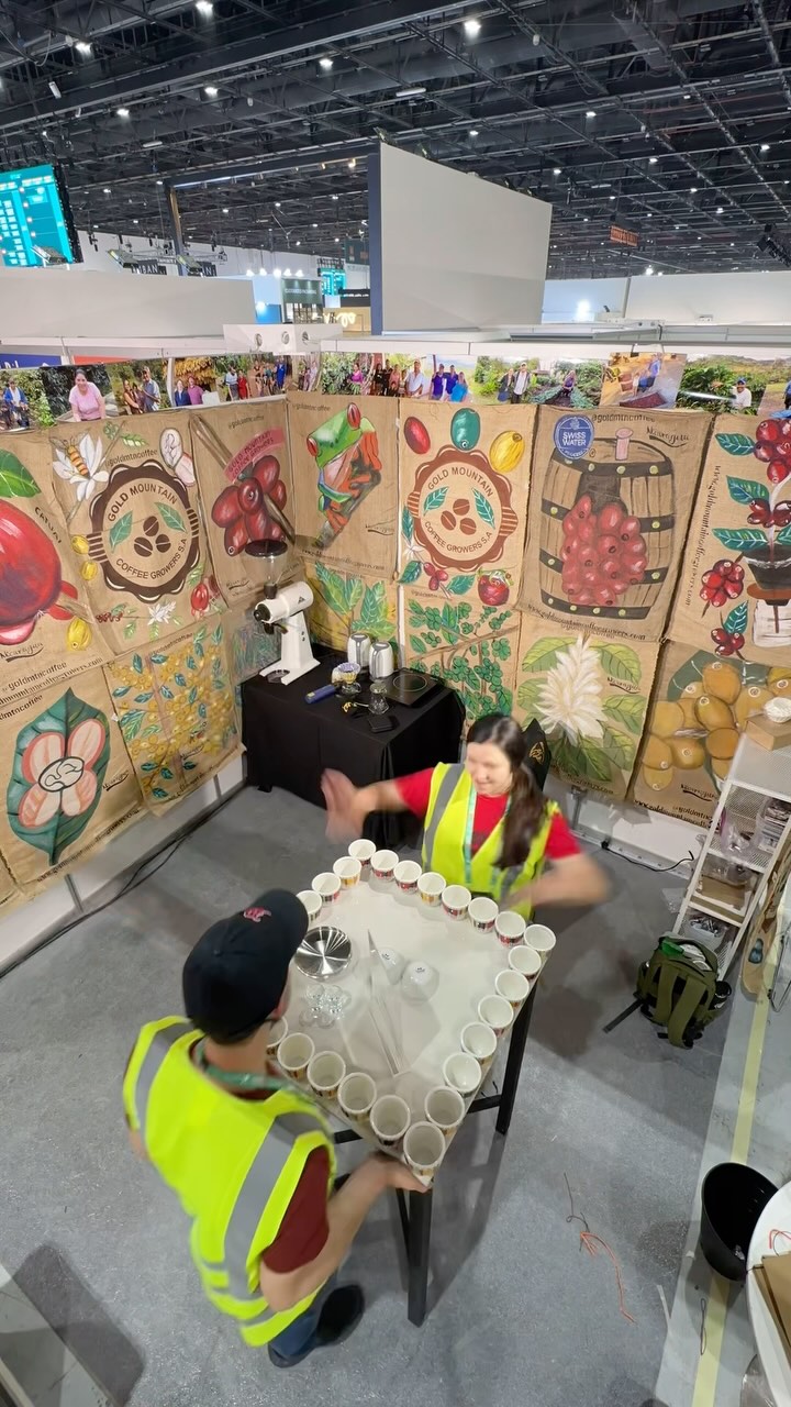 From 🇳🇮Nicaragua to 🇦🇪UAE…
🥄 You can cup fresh harvest coffees with us Feb 10-12th at the Dubai World Trade Center (booth Z4-G10, sign up at link in profile) @worldofcoffeedubai
🌍 We’re also doing a public cupping of our coffees at @earthroastery.ae on Feb 13th at 1 pm (6th St, Al Quoz 3, Dubai)…
🍒 And you can cup coffees w us @crackroastery.ae on Sunday, Feb 16th at 5 pm (26th St - Al Quoz - Al Quoz Industrial Area 4 - Dubai).
#greencoffee #specialtycoffee #nicaragua #naturalprocess #swisswater #thirdwavecoffee #anaerobiccoffee #pacamara #worldofcoffee #directtrade #directtradecoffee #wocdubai #coffeeprocessing #sustainablecoffee #dubaicoffee #coffeeroaster #coffeesorting #coffeeroasting #coffeefarm #dubairoaster #goldmtncoffee #coffeefarmers #coffeefermentation #carbonicmacerationcoffee #nicaraguancoffee #wocdubai2025 #dubaispecialtycoffee #microlotcoffee #asmr #dubaicoffeeroasters