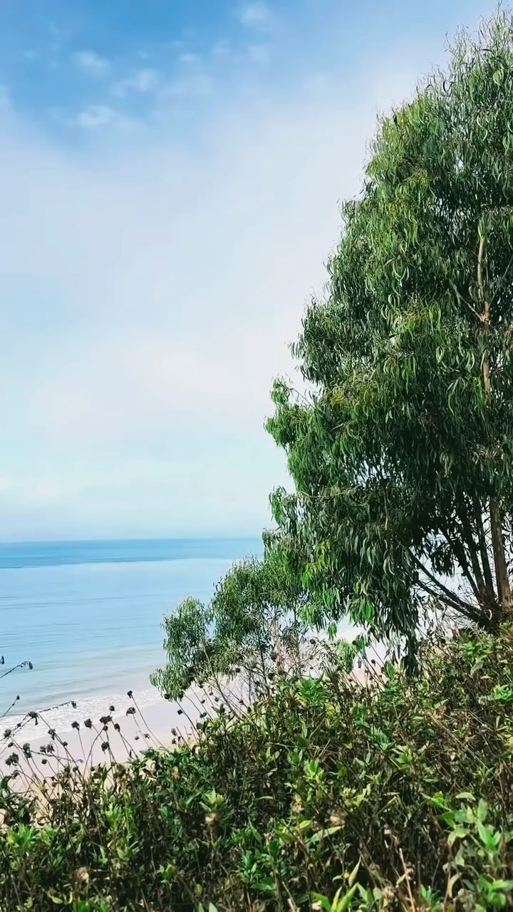 Mondays are for daydreaming and trip planning, right?
Everything you need to plan the perfect trip to Santa Barbara, up now on the blog (link in bio 👆)
.
.
.
.
.
.
#travel #travelguide #santabarbara #california #westcoasttrip #bucketlisttravel #visitsantabarbara #getoutandexplore #adventureseeker #travelinspiration