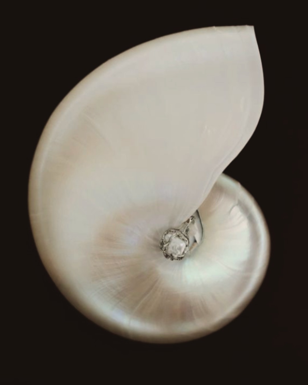 Inspired by the ocean's treasures, our island retreats - like Zuhha Island @zuhhabyzaya - are designed with sustainability at their core, ensuring a harmonious balance between luxury and nature.
From eco-conscious architecture to marine conservation, every detail reflects our deep respect for the environment.
Discover sustainable luxury with Zaya.
#ZayaSustainability #IslandLiving #zuhhaisland #zuhhabyzaya