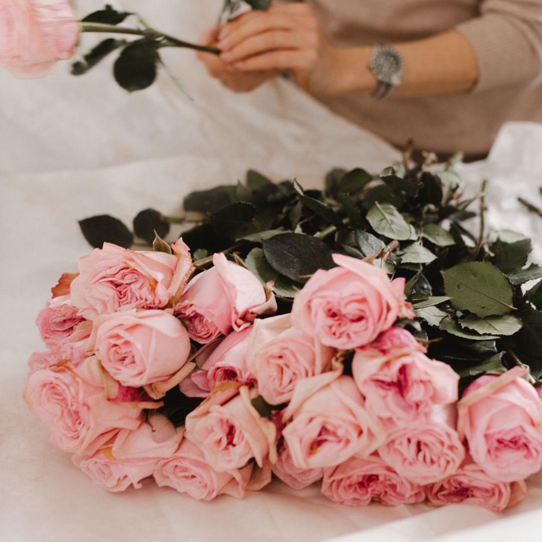 14. februāra VAKARIŅU ĒDIENKARTE
_ Komplimentāra uzkoda no šefpavāra
_ Maizes kārta
_ Jūras ķemmīte, fenhelis, citrusi, dzirkstošais vīns
_ Strauta forele, ķirbis, laims
_ Starpēdiens
_ Akmeņplekste, melnās trifeles, kartupeļi, puravi
_ Briedis, melnais ķiploks, topinambūri, sarkanvīns
_ Vīgrieze, rabarberi, rudzu maize, merings
_ Saldumi
75 EUR / 1 personai
(cenā nav iekļauti dzērieni)
tikai iepriekš veicot rezervāciju
Svētku vakariņas iespējams rezervēt
plkst. 17:30 VAI
plkst. 20:30 (tikai īpašā piedāvājuma ar nakšņošanu ietvaros)
Vairāk info & veic rezervāciju www.annashotel.com/ipasie-piedavajumi vai zvanot 67722288,
rakstot anna@annashotel.com
#annashotel #annashotelspa #visitvesis #entergauja #14februaris #valentinadiena