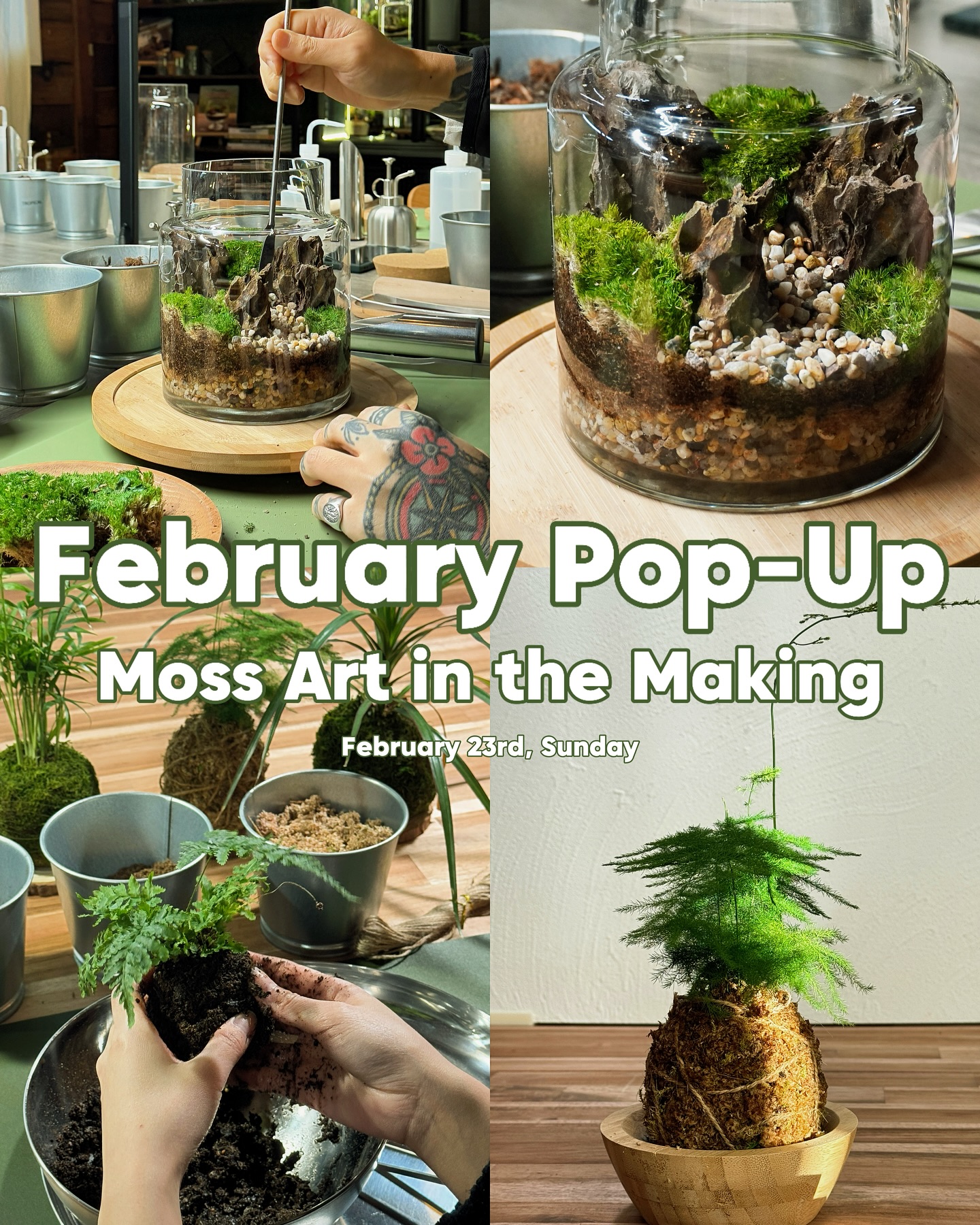 🌿 Join Our One-Day Mossarium & Kokedama Pop-Ups! 🌿
Looking for a creative escape? Dive into the calming world of moss and plants with our special pop-up events! Whether it‘s crafting a serene Mossarium or a stunning Japanese-inspired Kokedama Moss Ball, these hands-on experiences are perfect for anyone who loves nature and creativity. 🌱
📅 Mossarium Pop-Up: Feb 23, 11 AM – 1 PM
📅 Kokedama Pop-Up: Feb 23, 3 PM – 5 PM
🎟️ Limited spots available – Reserve your spot now on our website!
#mossterrarium #kokedama #vancouverpopup #plantlover #creativethreapy #naturelovers #indooractivities #weekendvibes