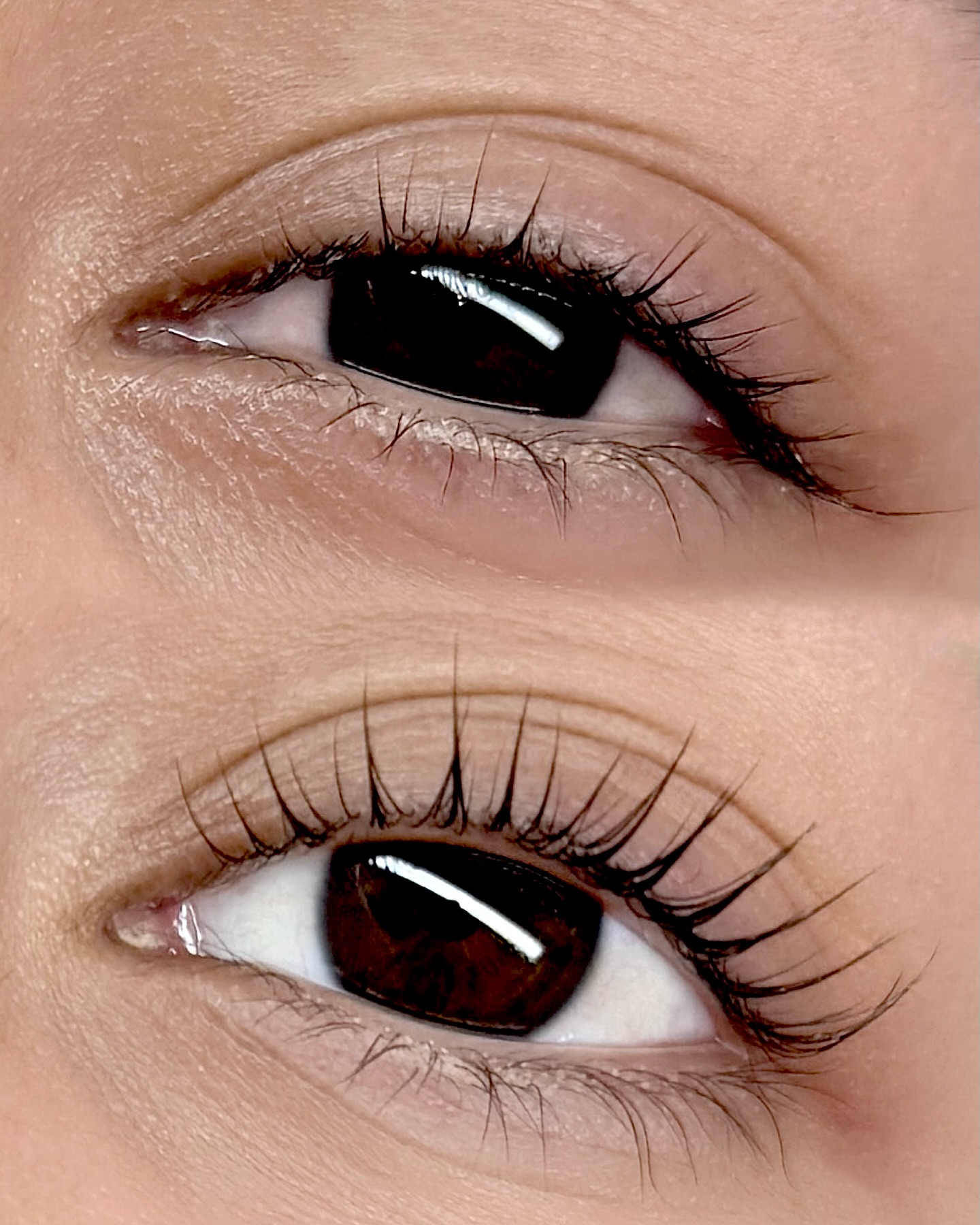 KERATIN LASH LIFT - BEFORE & AFTER 🖤
Please visit www.ricozybeauty.com to schedule your appointment. If you have any questions, feel free to contact at info@ricozybeauty.com.
◼︎300 E Colorado Blvd, Unit 241, Studio 409, Pasadena CA 91101 (Located inside Salon Republic Pasadena at The Paseo)
#lashextensions #lashlift #keratinlashlift #lashtech #lashlifting #lashgoals #classiclashes #hybridlashes #volumelashes #bindlocklashes #wispylashes #wetsetlashes #マツエク #まつげエクステ #ラッシュリフト #ケラチンラッシュリフト