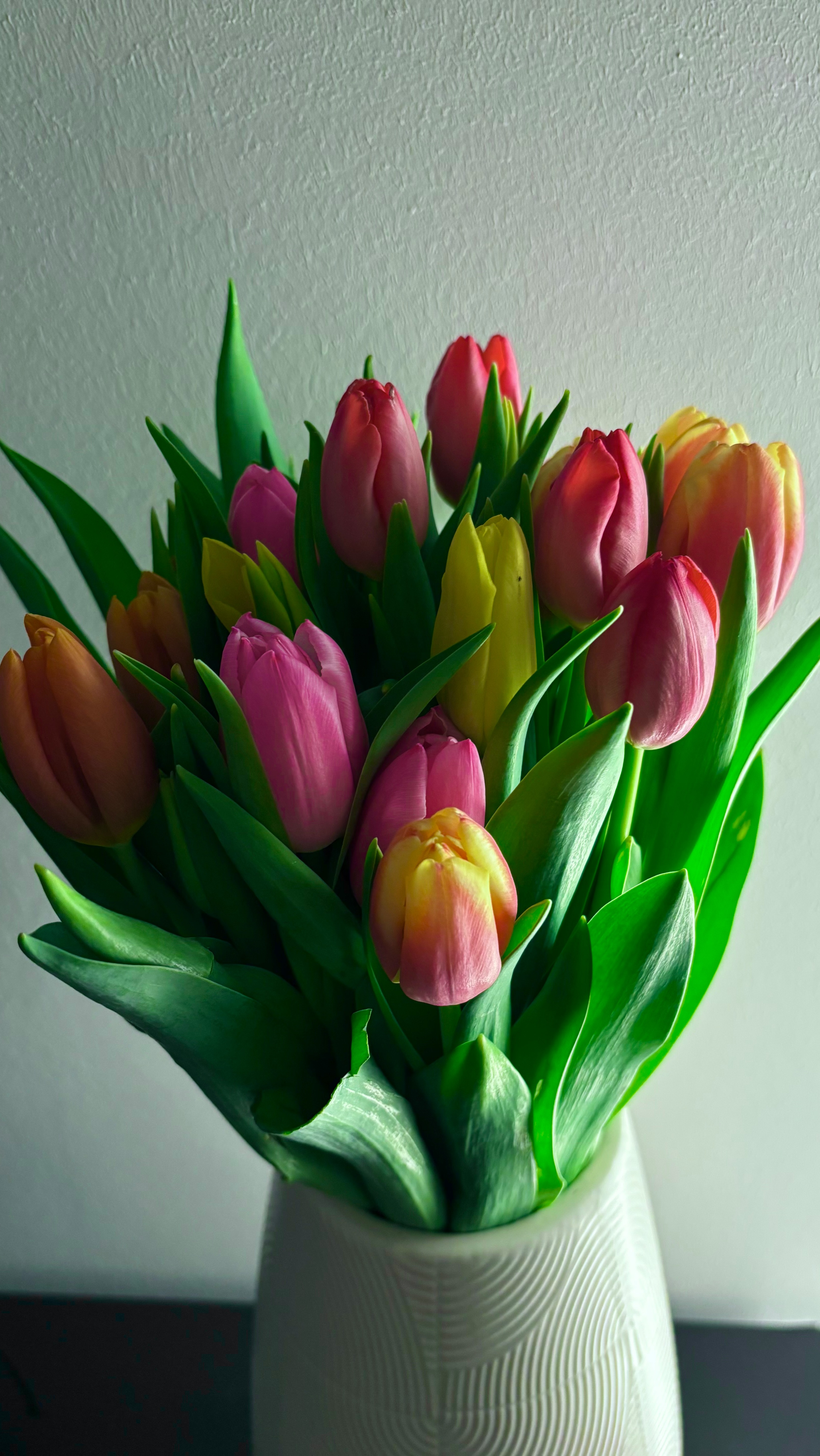 Il n’est jamais trop tard pour prendre soin de soi 🫶🏻
La madérothérapie a pour but de raffermir la peau, améliorer la circulation sanguine, éliminer les toxines, soulager les jambes lourdes… et beaucoup d’autres bienfaits.
Pour rappel, la madérothérapie est un massage non douloureux 🩵
Contactez moi pour plus d’infos et prendre rdv.
#madérothérapie #liège #massages #beauté #soins #ans #détente