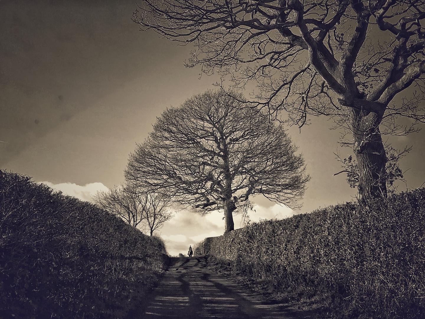 Oh the Englishness of it all 😁