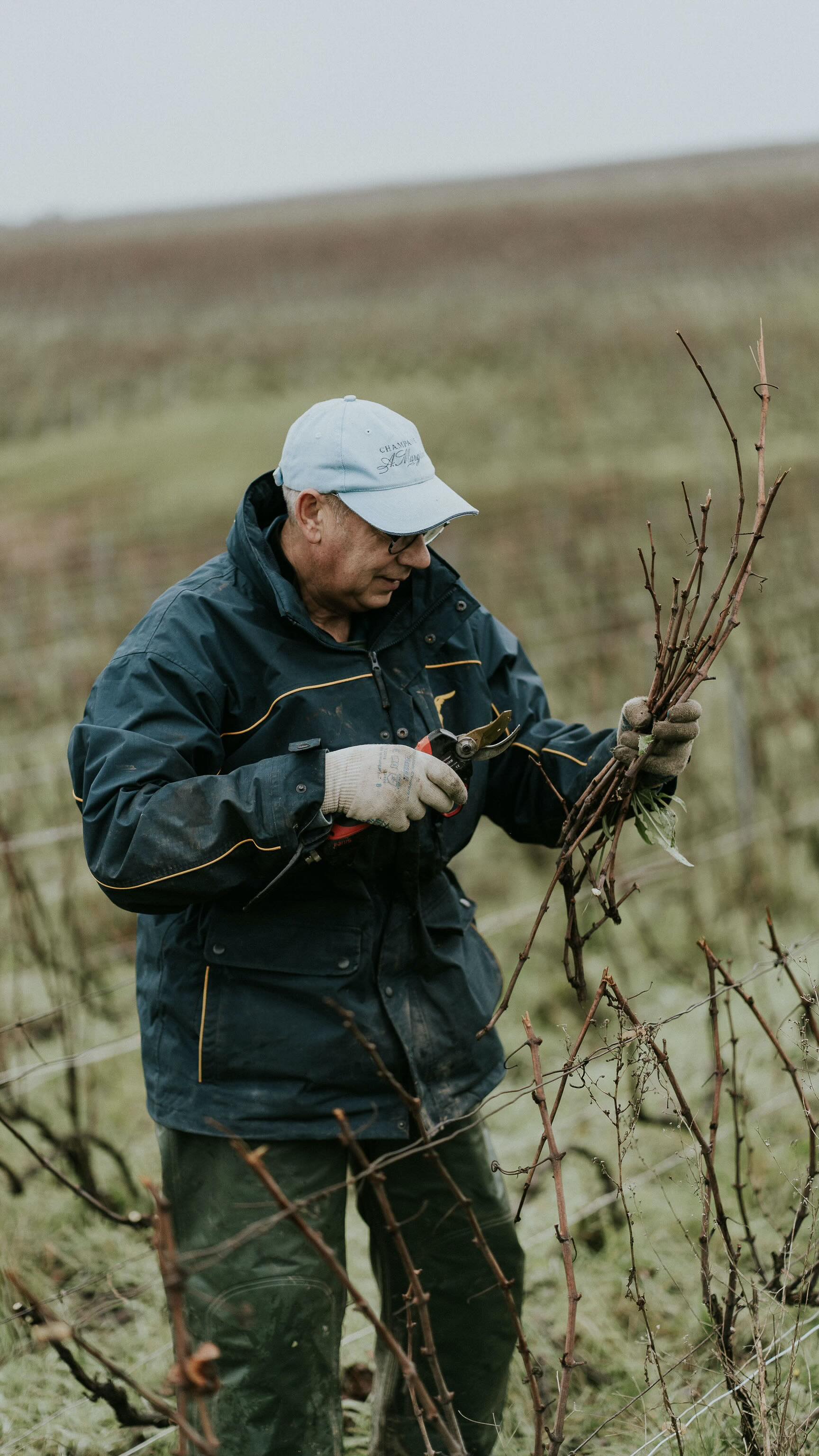 Précision, savoir-faire et bonne humeur ✂️
Taille en équipe sous un ciel d’hiver, avant un week-end bien mérité 🍾
📌 Les Alouettes
#tailledelavigne #tailledouce #chablis #chardonnay #champagneamargaine #passion #vigneron #vigneronne #winegrower #womendowine #champagne #prunning #villersmarmery #1ercru