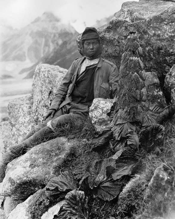 We came across these remarkable images of the Darjeeling Hills and Sikkim, captured by @fondazionesella Vittorio Sella in 1879.
It is both fascinating and heartbreaking that the rich histories of Darjeeling and Sikkim are scattered across the world, leaving us with little knowledge of our own heritage. Even more disheartening is how our people are reduced to labels such as Coolies, Porters, and Sherpas, with little recognition of their individual identities and invaluable contributions. We have the right to reclaim these historical records, identify the people within them, and uncover their long-overlooked stories.
Restoring these photo archives to our communities is not just about preservation—it is about reclaiming our history, restoring dignity, and ensuring our ancestors are remembered with the respect they deserve. This process of repatriation is essential in confronting the lingering impacts of colonialism and returning cultural heritage to its rightful custodians.
By reclaiming and safeguarding these historical records, we do more than honor our ancestors - we reclaim our narrative, strengthen our collective identity, and deepen our understanding of the rich and complex histories of Darjeeling and Sikkim.