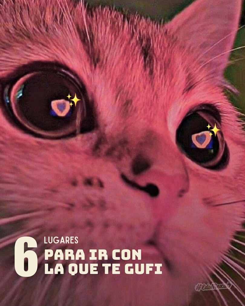 6 lugares a los que necesitas ir para celebrar este 14 de febrero en el #Edomex .
Mándaselo a la que te GUFI 💖🥹
.
.
.
#dondeiredomex #edomex #soyedomexa #restaurantes #14defebrero