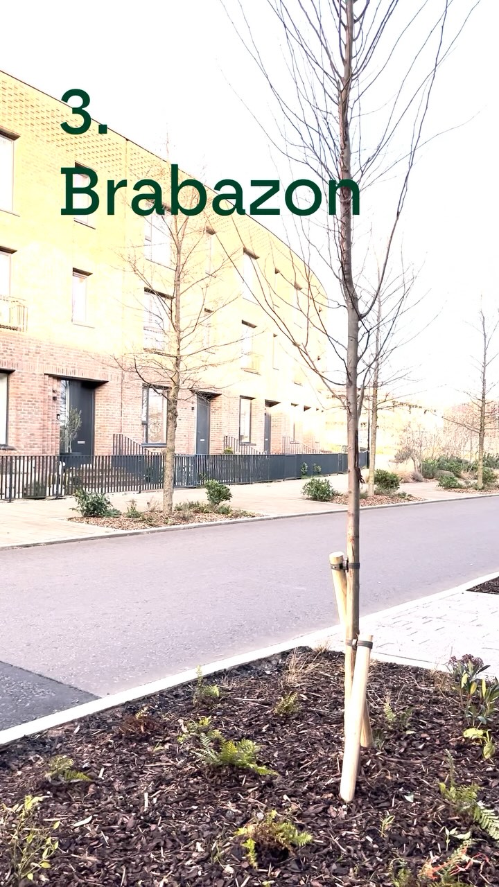 Our final spotlight for New Homes week is Brabazon in Filton. The history of this site is so important to Bristol’s aeronautical identity, and the overall master plan is careful to acknowledge this past. The new homes are architecturally interesting and the urban design carefully considered #newhomesweek #newhomeowner #architecture #community