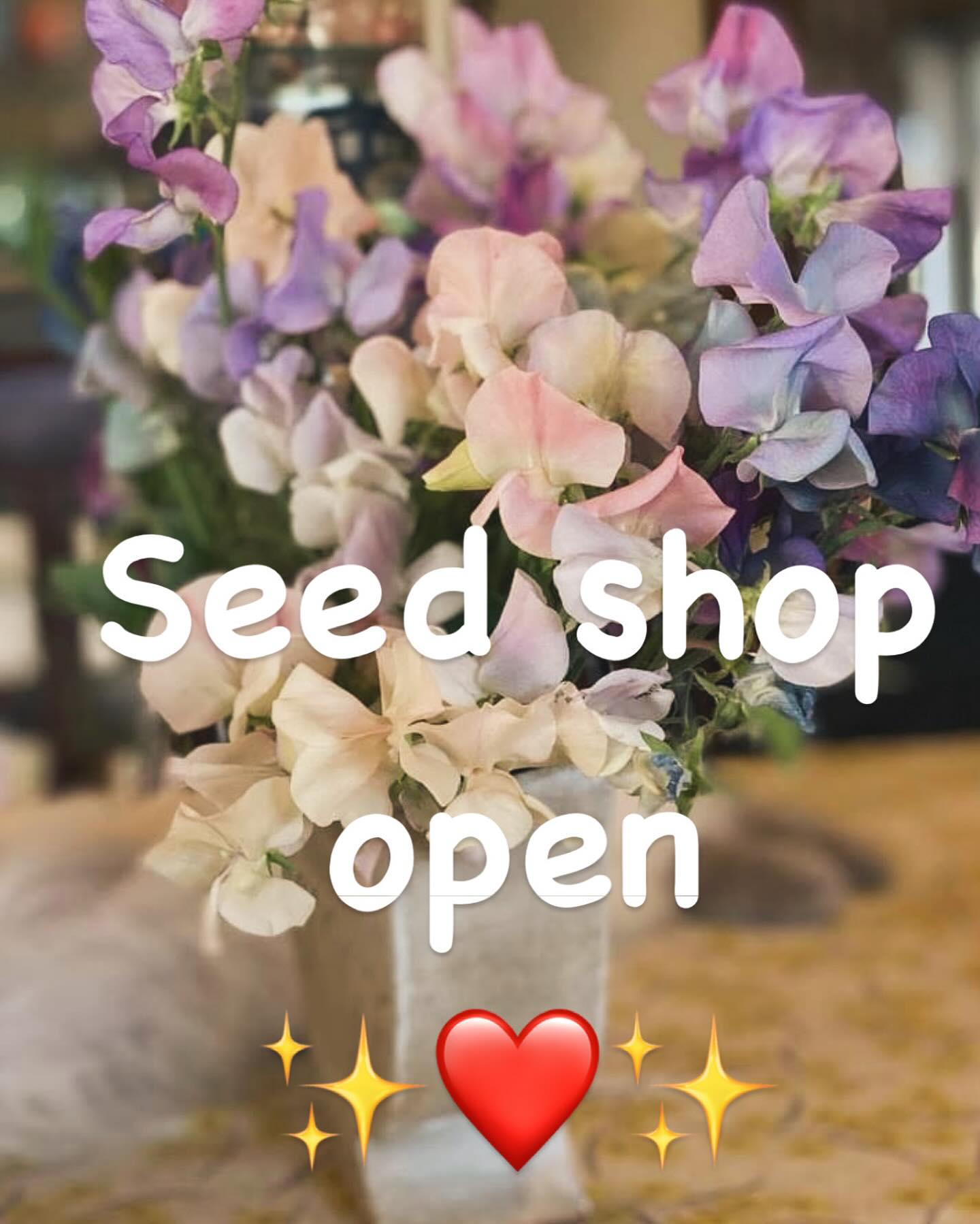 Hi there sweet pea lovers!!
This years Sweetpea seed sale is up and running, see our new website imustgrowflowers.com
A couple of new things this year, we now have new 100 seed packet options on some varieties…. we also are set up ready to SHIP TO TASMANIA!!
If you have been dreaming of creating pathways of glorious sweet pea walls, or having one of the most stunning fragrant flowers to harvest from your very own garden this is for you!!
#sweetpeas #seedsale #imustgrowflowers #imustgrowsweetpeas #springgarden #dreamgardensstarthere #growyourownflowers