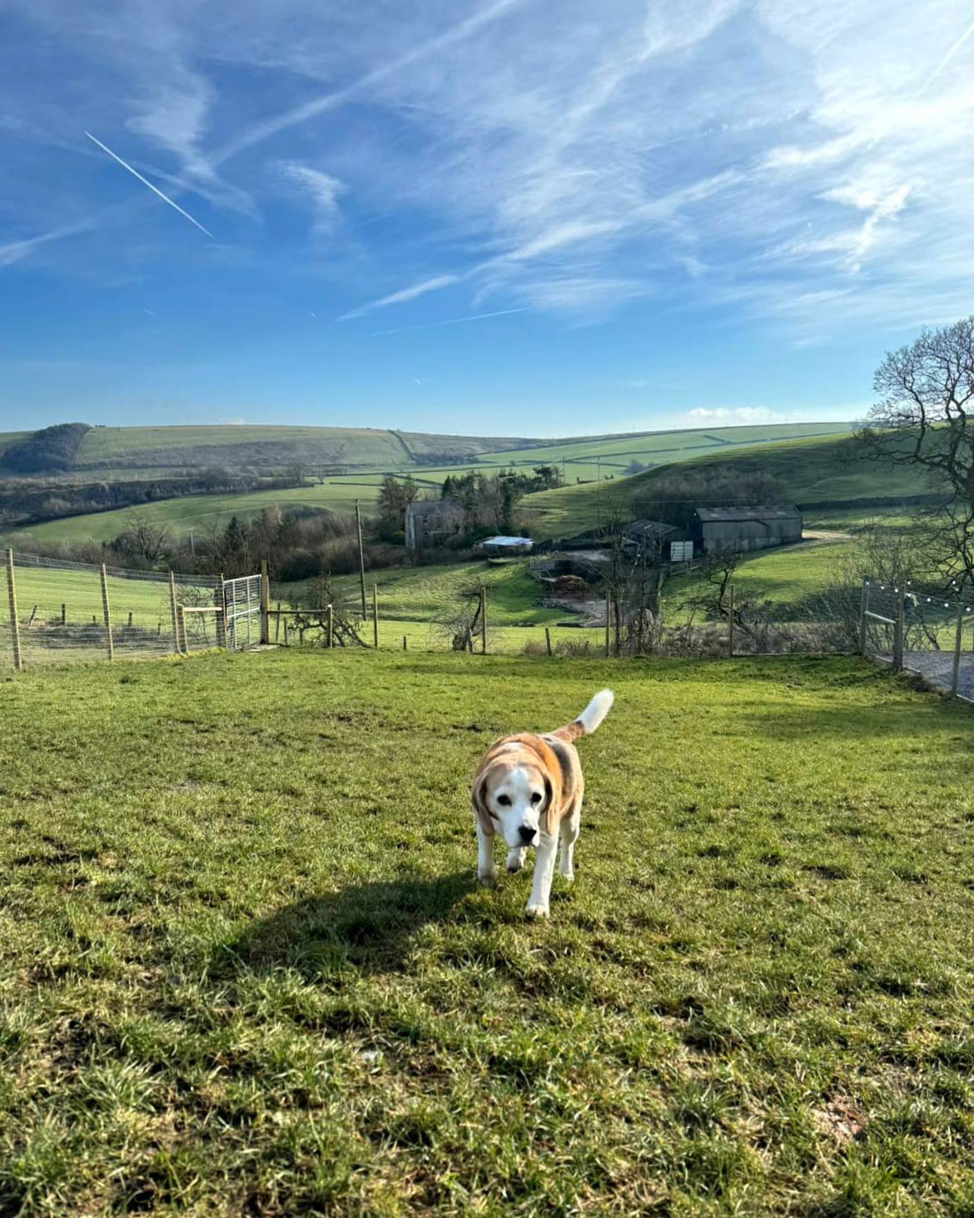 Enjoying the beautiful views from our exercise fields 💚
#lothersdale #northyorkshire #dogwalkerlife #dogfield #yorkshiredogwalks #dogboarding🏡