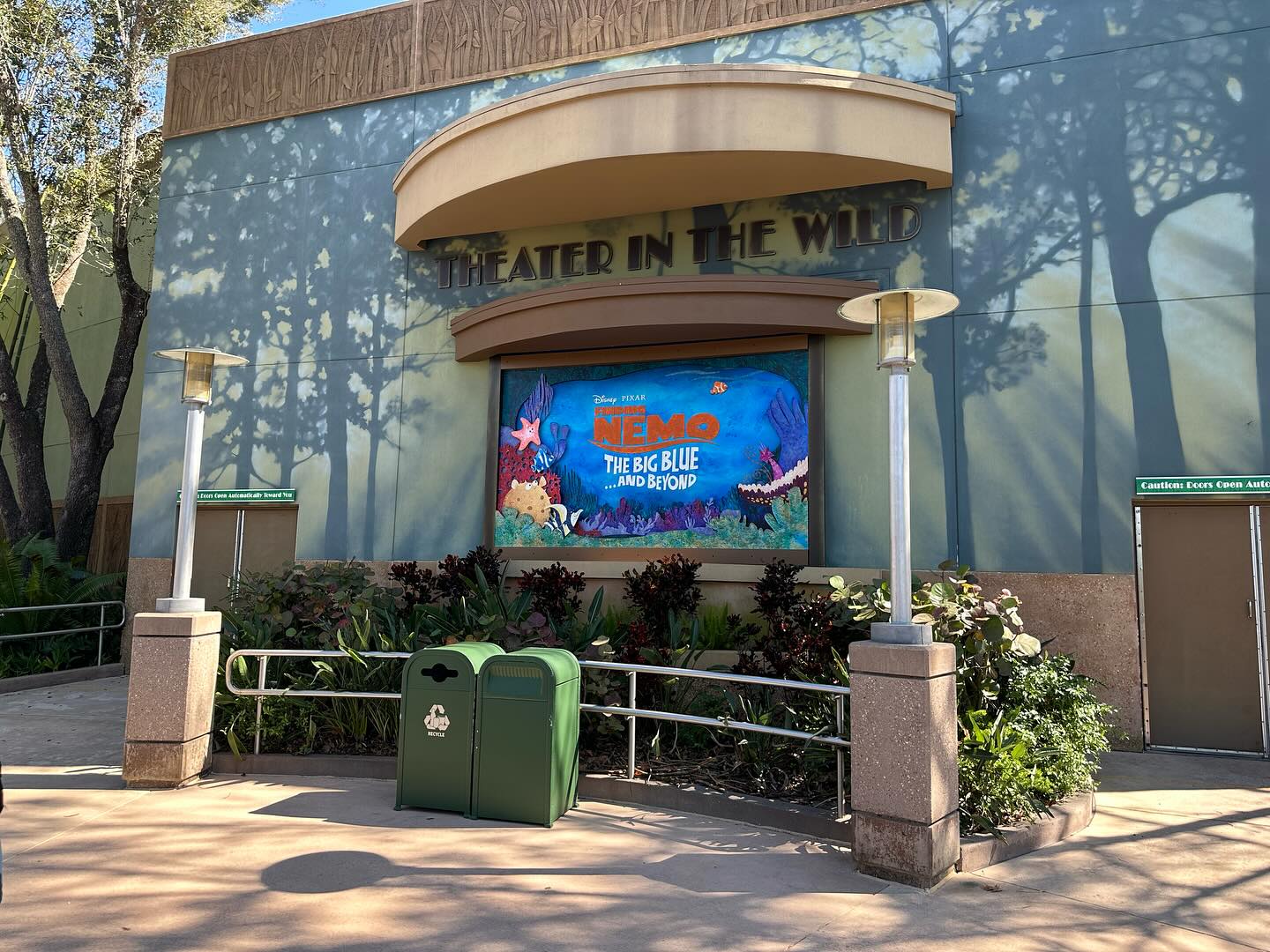 Such a great show at Disney’s Animal Kingdom!