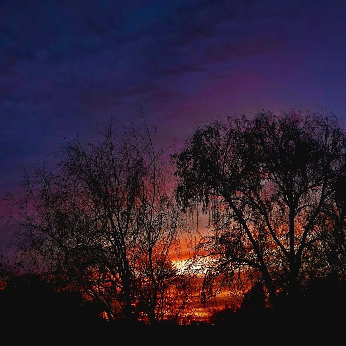 When forty winters shall besiege thy brow,
And dig deep trenches in thy beauty’s field,
Thy youth’s proud livery so gazed on now,
Will be a tatter’d weed of small worth held:
Then being asked, where all thy beauty lies,
Where all the treasure of thy lusty days;
To say, within thine own deep sunken eyes,
Were an all-eating shame, and thriftless praise.
How much more praise deserv’d thy beauty’s use,
If thou couldst answer ‘This fair child of mine
Shall sum my count, and make my old excuse,’
Proving his beauty by succession thine!
This were to be new made when thou art old,
And see thy blood warm when thou feel’st it cold.
- Shakespeare's Sonnet 2
#sunset #sky #livingart #shakespearesonnets #words #beauty #timelessbeauty