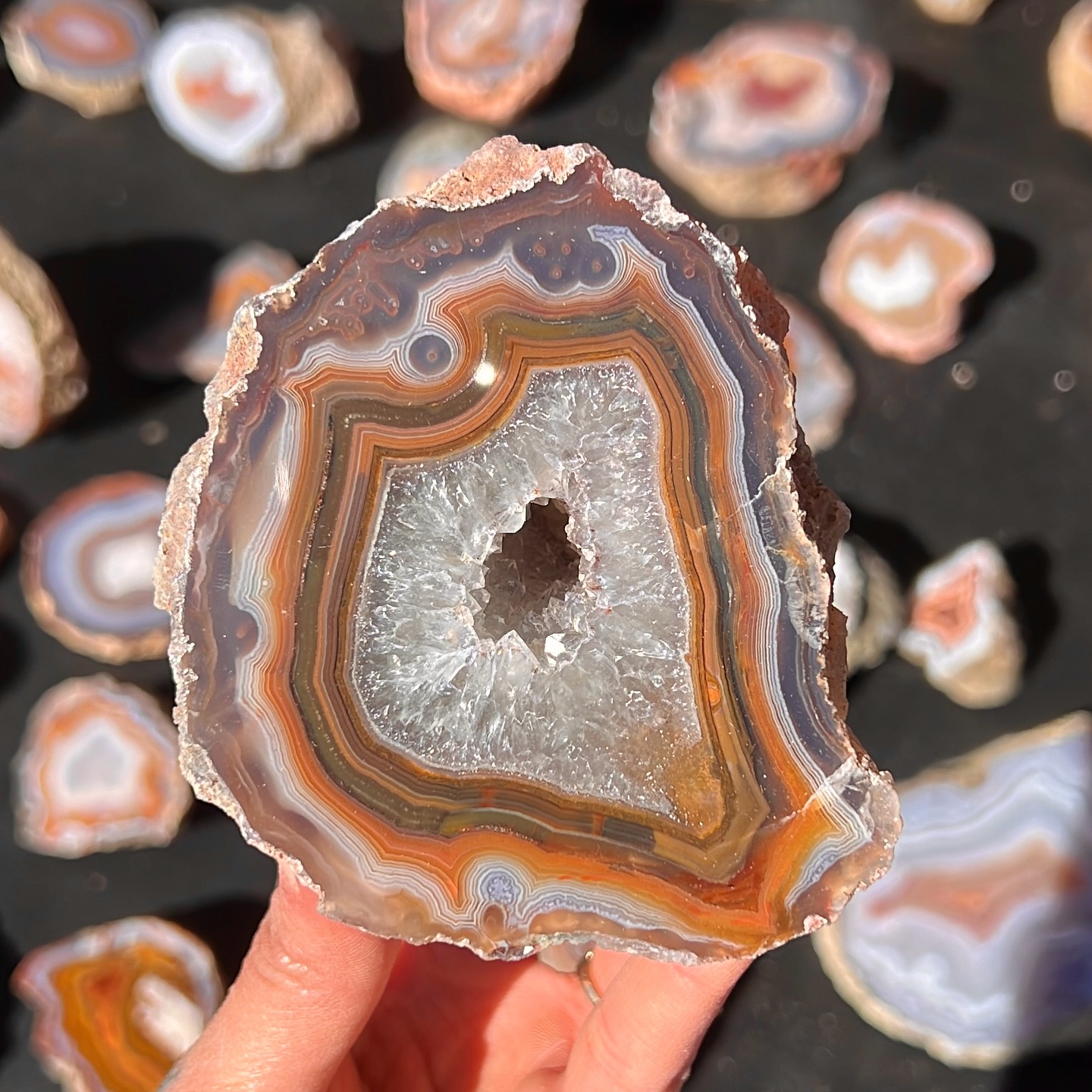 Heading back to Tucson today to score any last minute deals!
Let’s see how many shows I can squeeze into one day.
Comment below with any thing you thing you want me to look for or your dream crystal!
#Crystalshop #supportsmallbusiness #crystalsforsale #crystalsforbeginners #crystalcollection #crystalsforhealing #crystallove #crystallover #crystalhealing #healingwithcrystals #beginnercrystals #crystalcollector #gemshow #tucsongemshow #tucson #minerals #fineminerals