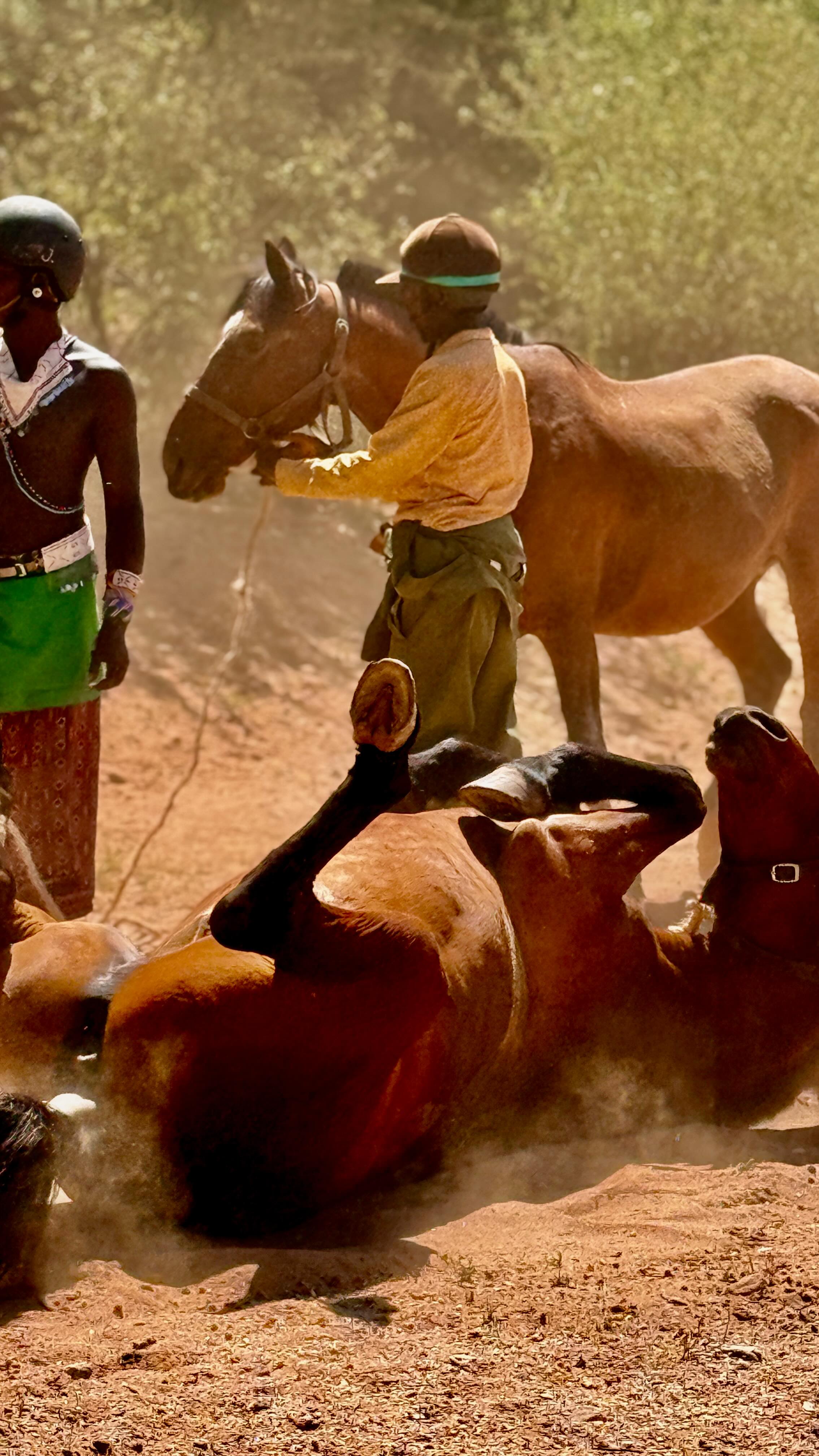 Day 4: Ride Wild 🥵
After a number of carefree petite gallops down the sprawling luga’s (riverbeds), we paused, put down our cameras and took time to sit on our horses and absorb the immense beauty radiating out of the bottom of the luga’s, here traditional Samburu tribesmen were busy collecting water and singing in their wells. The singing wells are the most magnificent experience. You just have to sit, close your eyes and absorb the vibrations and sounds these magical people create. All animals are calm, well just a few confused horses!
We continued to our very late breakfast point, ahem Chyulu…(“just a little further”)
We stripped the horses down, let them shake of their sweat and silly’s, drink from the Ewaso river, whilst local tribesmen bathed in the shallow waters. The horses returned to the vegetation and we all took time to eat our breakfast jars and put our feet up and take naps in a variety of places and positions!
Next and final challenge of the day, dismounting to lead our horses up a huge, rocky goat path…they picked they’re way through with ease and a few startling moments, but they did it and we did it. Followed by an enormous never ending volcanic rock or lava flow… 🥵
The short ride into camp along the ridge came as a welcome. Fanta’s, Cokes and fresh water was a happy welcome.
Out the saddle into the kitchen: whipped up another easy lunch with my various sous chef of Chickpea wraps, raw tahini slaw and my green goddess mix on tinned tuna, friend haloumi.
The guests hiked to the top of Nantodo, whilst we had tea, checked horses, arranged for more water to be collected and just took a moment to enjoy the views.
Supper served under the stars, cooked on the fire (lamb chops) with quinoa salad and garlic green beans and tenderstem!
We finished the sat night pretty exhausted with marshmallows on the fire 🍡🤍🩷
TODAY’S RIDE WAS TO EXPERIENCE THE IMPRESSIVE LANDSCAPES AND THE TRADITIONAL, UNIQUE TRIBESPEOPLE OF THE LAND.
#olmalo #thewildreset #mouseinthewild #meandmouse #moveshiftfeel #kidogoyokitchen #ridewild #wildride #horsebacksafari #horsesafari #thisiskenya Kenya Safari #olmalonomad #yogasafari #yogachef #safarichef 🐎🇰🇪