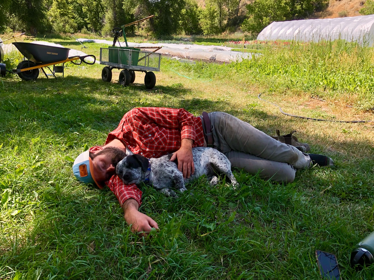 If you’ve ever been out to the farm, or been following us for a while you’ve definitely come across our doggies Spud and Winnie. They’re integral parts of our family, and hard workers on the farm, being in charge of rodent control and morale boosting efforts. We know Spud has a lot of friends and fans that follow us on here so we wanted to ask everyone to send him all the love and good thoughts and energy you can send him right now.
He underwent an emergency surgery on his spine yesterday after he was temporarily paralyzed in his back legs due to a herniated disc. He is stable and recovering right now. The surgery saved his life, and we’re now hoping that he will be able to relearn how to walk again on his own. If not, he will be zipping around the farm in a doggy wheelchair for the rest of his long life. He’s been one of the greatest sources of joy in our lives since we got him as a young pup six years ago. It’s been heartbreaking to see him go through this. Please send him good thoughts and love ❤️
To other dog owners as a PSA and if we can help prevent this happening to another dog in the future: Spud went from running around like normal to not being able to walk at all in the span of about three days by the time we could race down to Denver to get his procedure done. If your dog ever starts to lose function in their back legs even a little bit you should treat it as an emergency, because even a day later they may not be able to walk at all. It can happen so fast, and the sooner they can get in for surgery the better the prognosis is.
We appreciate everyone’s good thoughts and wishes 💚