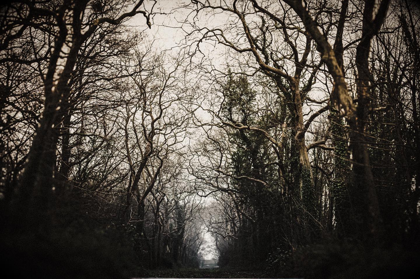 Difficile d’expliquer ce qui me happe dans un paysage, ce qui retient toute mon attention et mes émotions… j’ai retouché plusieurs fois cette photo et puis je me suis arrêtée ce soir sur ce traitement : plus sombre, plus dramatique que d’autres… Pourquoi ? Lorsque j’ai photographié cette forêt, j’ai été saisie par cette lumière derrière ces ténèbres. Il en faut des obstacles, des épreuves avant d’atteindre notre but, avant de voir notre ciel s’éclaircir. On avance, et on avance parce que au-delà de la peur, des échecs, des obstacles on sait que quelque chose de beau nous attend. C’est ce que j’ai vu devant ce paysage…
