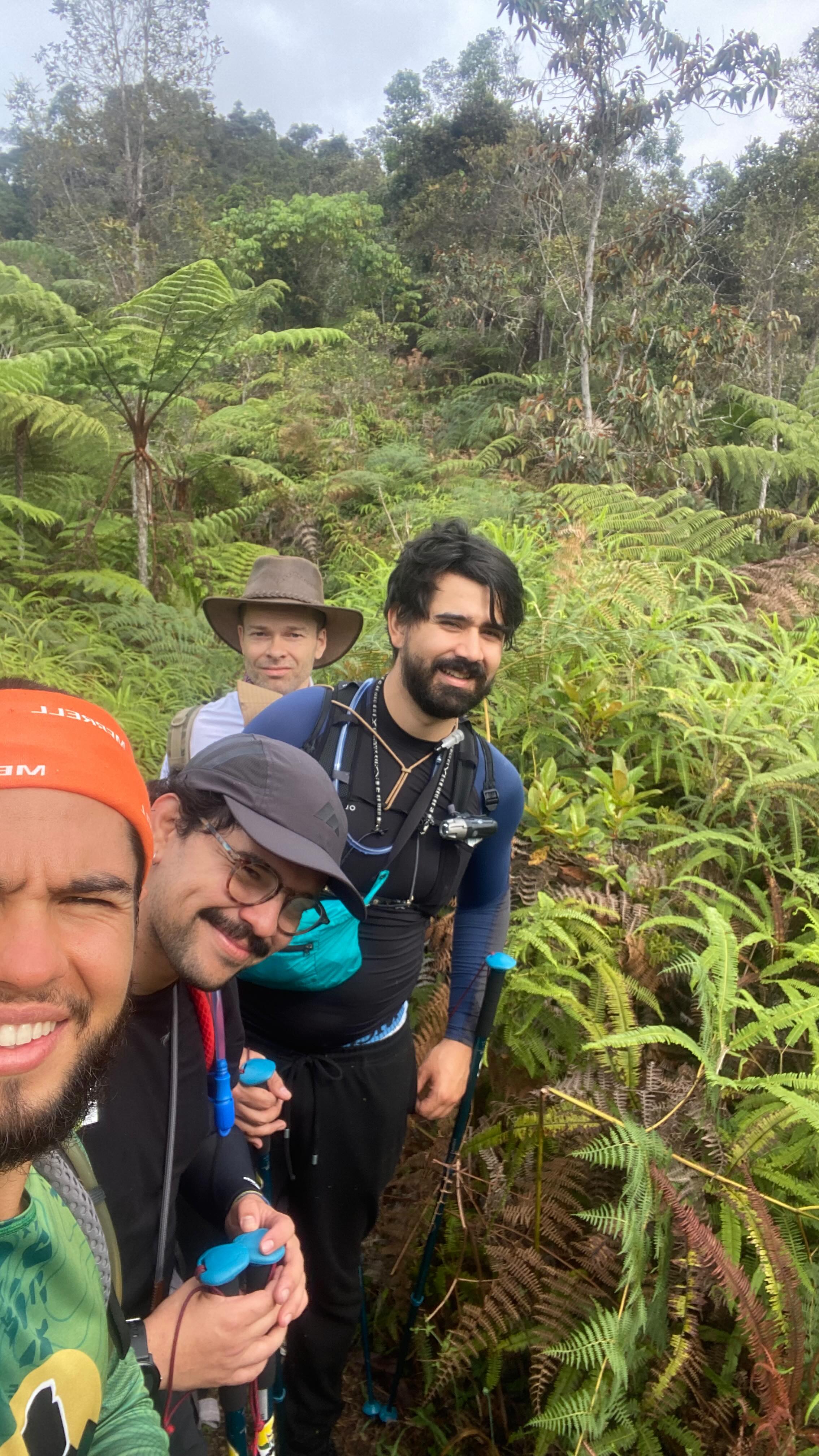 Un recorrido por la increíble Serranía de los Yariguies 🌳. Un lugar con mucha vida, mucha naturaleza, una caminata para apreciar el camino y lo que tengamos la fortuna de toparnos😮💨 #todosalamontaña