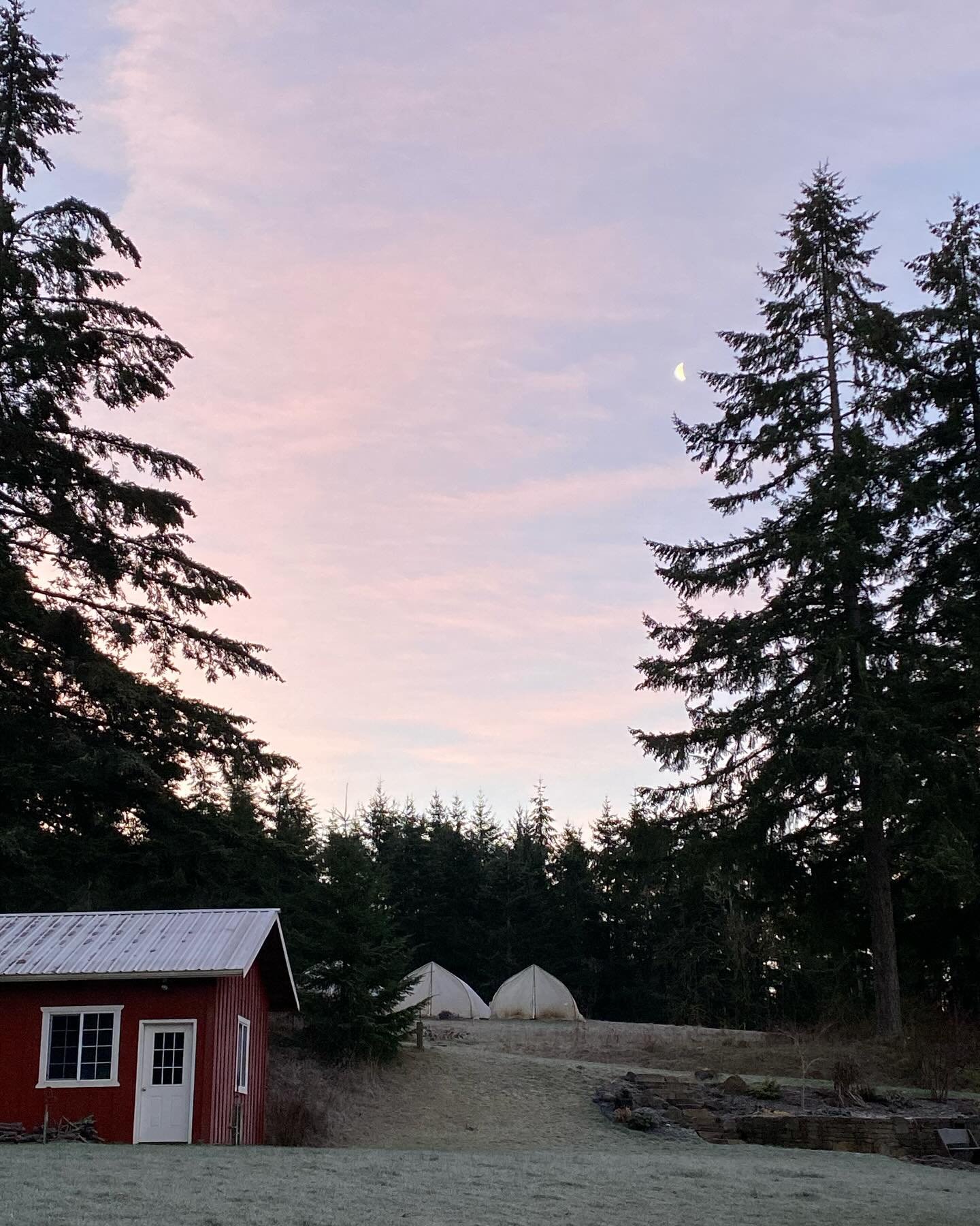 Happy new year to all! It’s been a minute, but we can’t wait to see ya back @silvertonfarmersmarket , Feb 8th 10-12:30. NEW LOCATION: Immanuel Lutheran Church @ 303 N Church St, Silverton! We’ll have the last of our winter squash, herbal teas, fermented chili paste, chili powders, Sauerkraut, bath salts and oil, amazing @vissersendivessilverton Endive, and delicious @brownbottlefarm mushrooms!