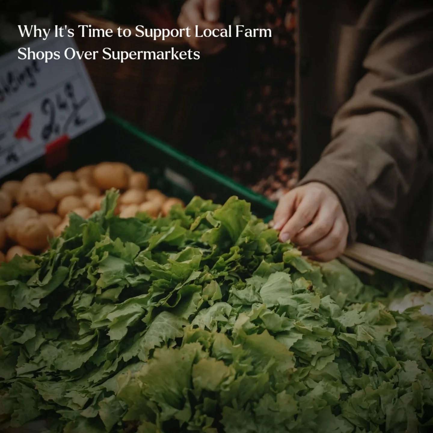 Inflation has narrowed the price gap between local farm shops and supermarkets, making it more affordable to choose fresh, high-quality produce while supporting small businesses.
Supermarkets often claim to champion British farmers, but their supply chains prioritise profit, filling shelves with heavily processed, chemically laden foods from unethical farming practices. Even their “organic” options rarely match the flavour or freshness of locally sourced produce.
Farm shops, on the other hand, offer food that’s fresher, tastier, and often grown using organic principles—without the costly certification. This allows local farmers to focus on quality and reinvest in their businesses. Plus, their produce hasn’t travelled for days or weeks, retaining its nutritional value and superior taste.
With inflation raising supermarket prices, the cost of shopping locally is now comparable. By choosing farm shops, you’re not only enjoying better food but also supporting your community and reducing the environmental impact of your groceries.
If local options aren’t accessible, consider a veg box subscription. These services deliver fresh, seasonal produce directly to your door, combining convenience with affordability and sustainability.
Every pound spent at a farm shop or on local produce is a step toward a healthier, more ethical food system. So, why settle for bland, mass-produced supermarket goods? Shop local, taste the difference, and support the hardworking farmers who put food on your plate.
#shoplocal #shoporganic #farmshop #organic #supportlocal #supportsmallbusiness #supportsmallbusinesses #supportbritishfarmers