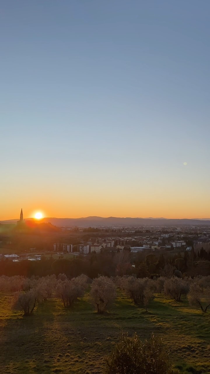 Today we want to shine a light on our beautiful home, Villa Godiola. Originally built in the late 14th century, the villa has grown into a space filled with creativity, laughter, and artistic energy. The beautiful olive groves and open fields have become the perfect playground for site specific works, giving our young artists the perfect opportunity to connect with nature 💛
#accademiadellarte #adaarezzo #adalife #studyabroad #studyabroadlife #arezzo #tuscany #italy #discoverarezzo #discoveritaly #artistlife #performingarts
