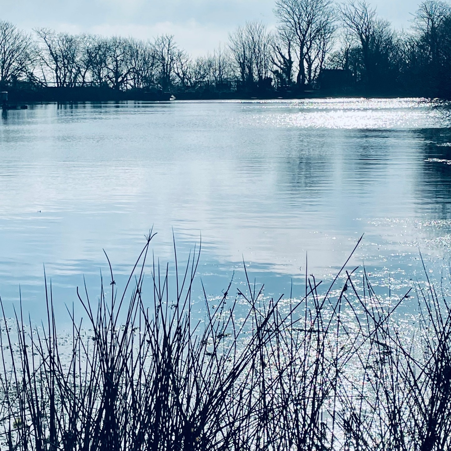 Not a bad view for the day. Time to get the rods out #carpballs #dischargebaits #lakeview #fishinglife #carpfishinguk #cold