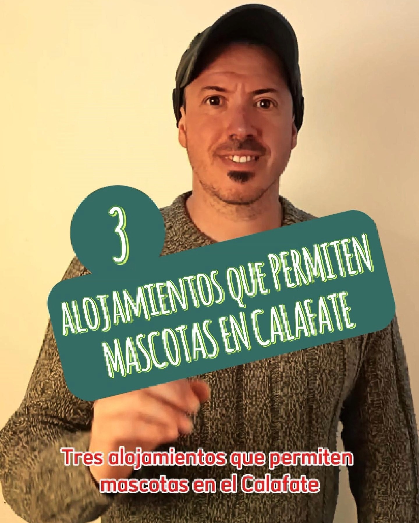 Te comparto 3 alojamientos que permiten el ingreso con mascotas en el Calafate! #lascabañitas, @posadalarsen @brillos_patagonicos . #calafate , #viajesconmascotas #viajeconmascotas , #viaje ,#patagonia , #surargentino , #alojamientosconmascotas , #alojamientospetfriendly , #elcalafate #alojamientomascotas #viajarconperro , #viajarconmascotas