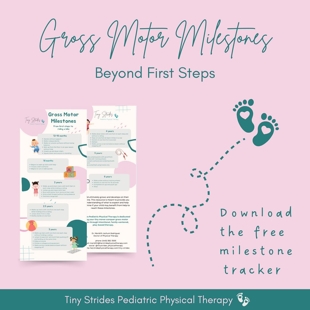 ✨ Free Developmental Milestone Guide ✨
What happens after those much anticipated first steps? This guide is designed to support parents in identifying gross motor milestones for their little ones from after those first steps through six years of age 👏🏼
Download using the link in the bio!