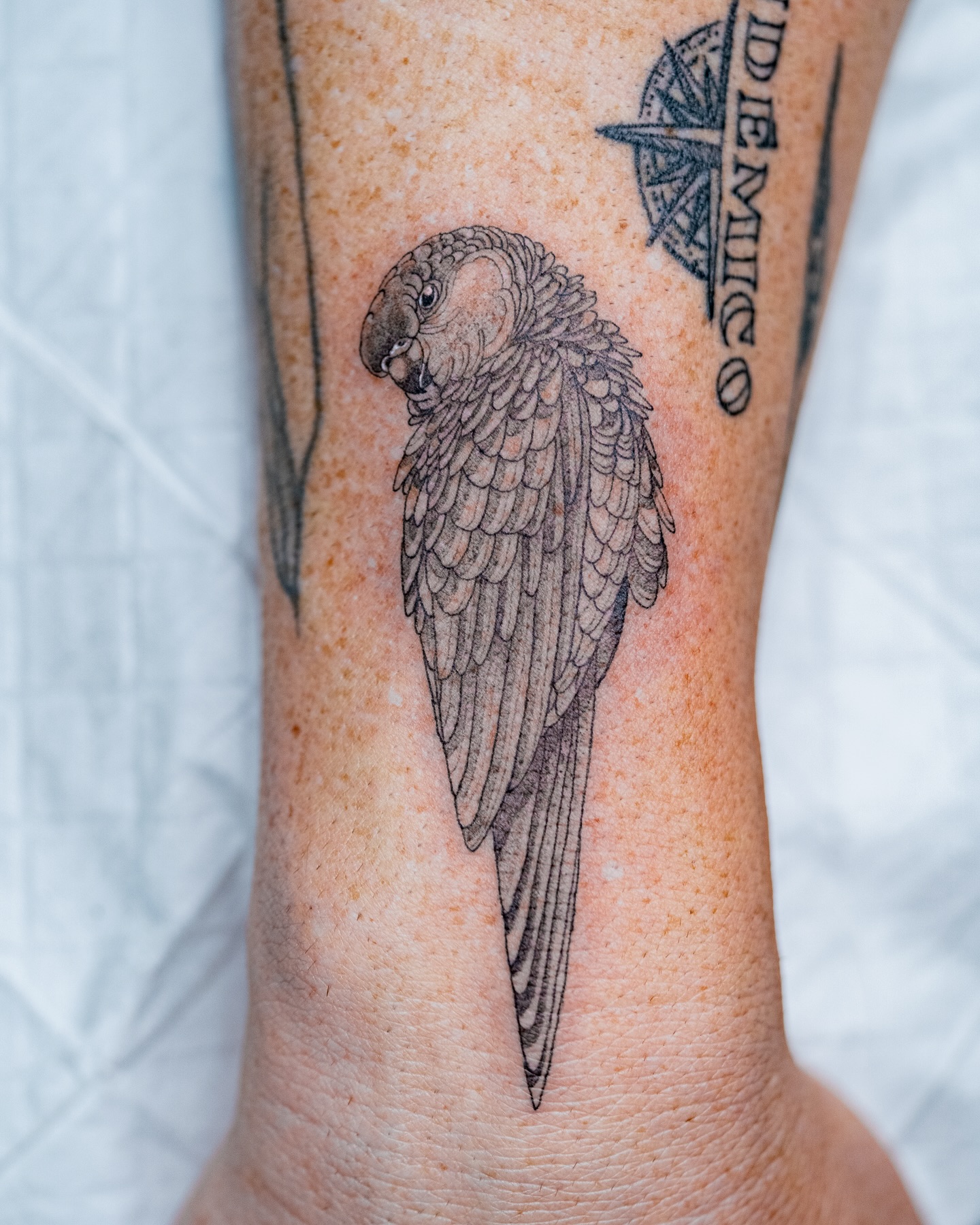 Added a Small Rozella to @oscarhsolomon ongoing collection. Always good to see you brother 🙏 you’re a real one 🫶