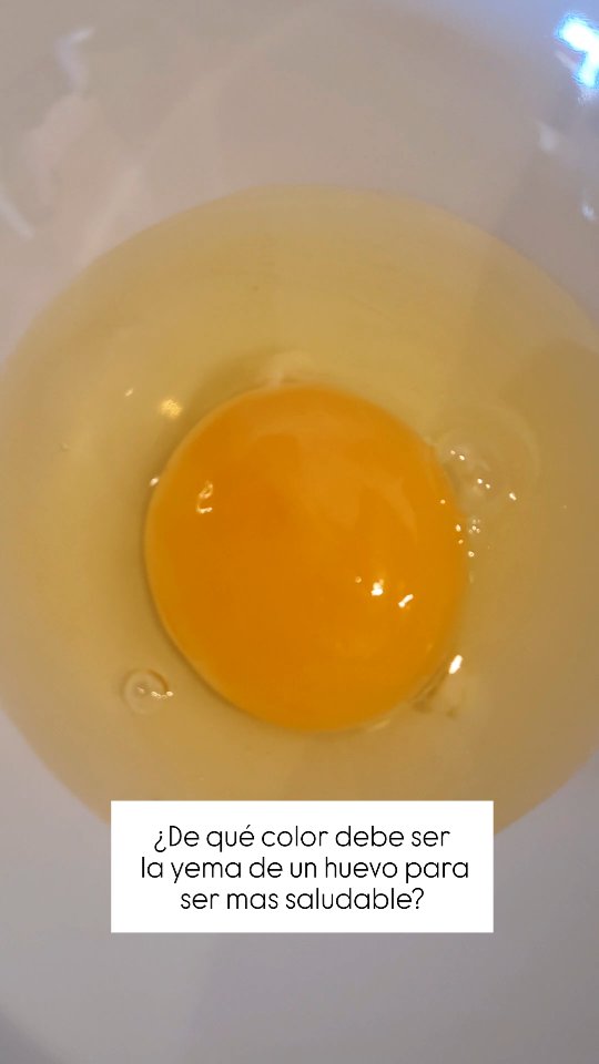 ¿De qué depende el color de la yema del huevo? 🥚🌿
Seguro has notado que algunas yemas son más amarillas y otras más anaranjadas… pero, ¿sabes por qué? 🤔
El color de la yema depende de la alimentación de la gallina 🐔. Cuando su dieta es rica en pigmentos naturales llamados carotenoides (presentes en alimentos como maíz, alfalfa, zanahoria o pimentón), las yemas tienden a ser más anaranjadas. En cambio, si consumen más trigo o se alimentan de insectos y semillas, la yema será más clara.
Eso sí, el color no influye en el valor nutricional del huevo 🥚💪. ¡Todas las yemas son deliciosas y saludables!
Muchas personas nos cuentan que pensaban que todas eran naranjas, y se suele asociar el color naranja intenso a más saludable, cuando no tiene nada que ver.
¿Sabías esto?
#Huevos #Alimentación #Curiosidadesdelhuevo #YemaDelHuevo #huevosecologicos