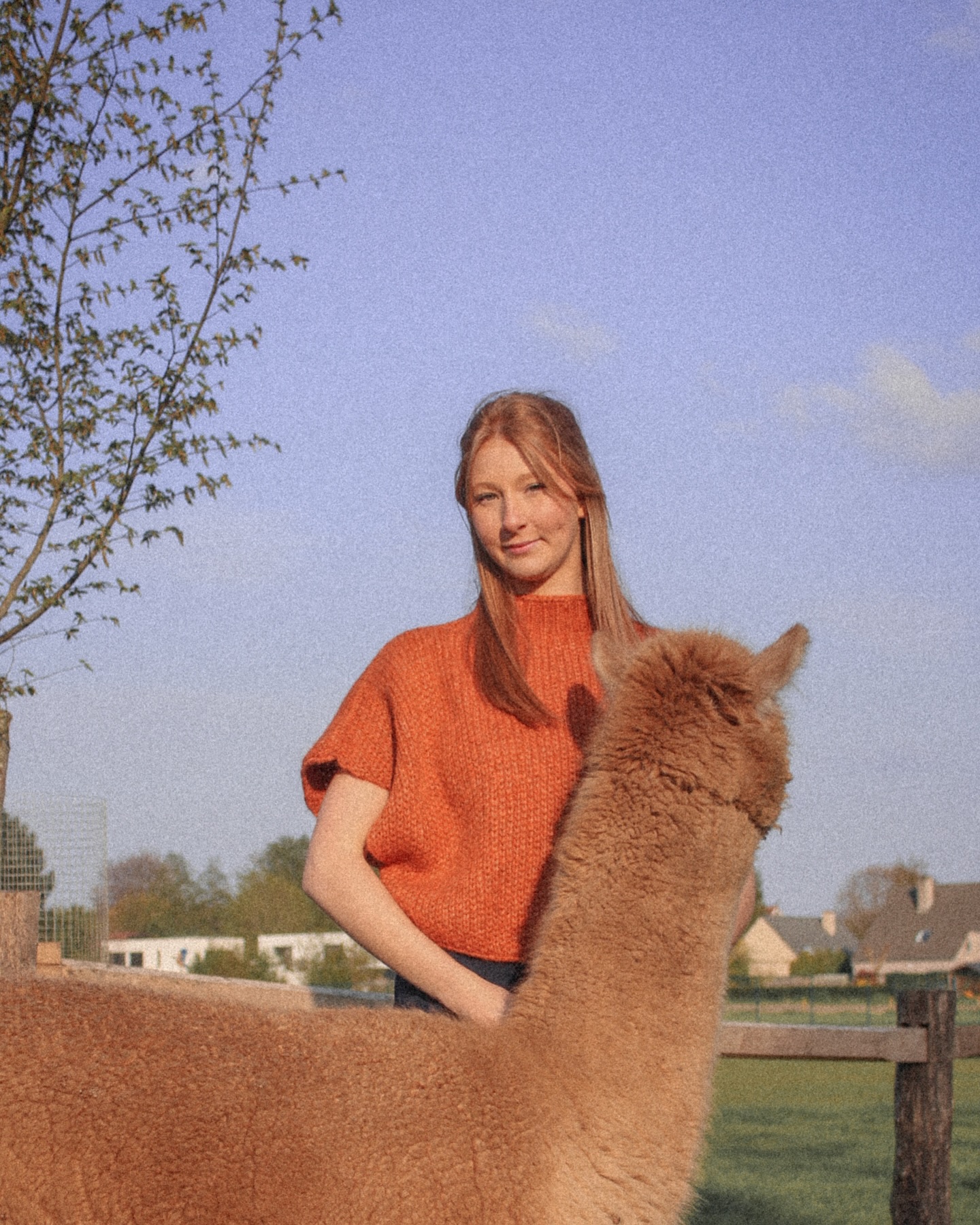 Alpaca love 🦙🧡
Onze winterknits worden gemaakt uit de zachtste babyalpacawol. Perfect voor de meest gevoelige huidjes. Marie draagt model Sybille in warm Orange.
Knitwear knitweardesigner handmadeknitwear sustainablefashion duurzamemode belgischemode