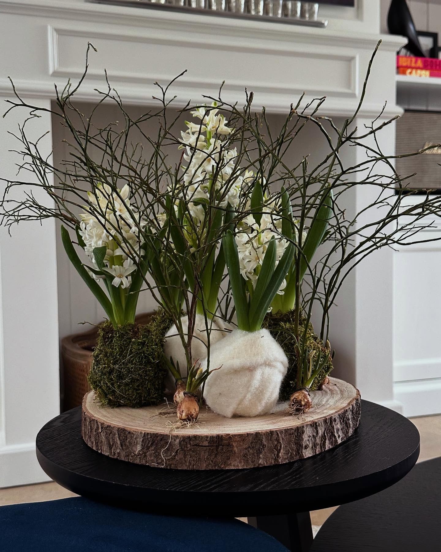 Et voilà, après une semaine, on profite encore d’une belle floraison délicieusement parfumée 🪻 #fleursaddict #walhain #artfloral #jacinthe