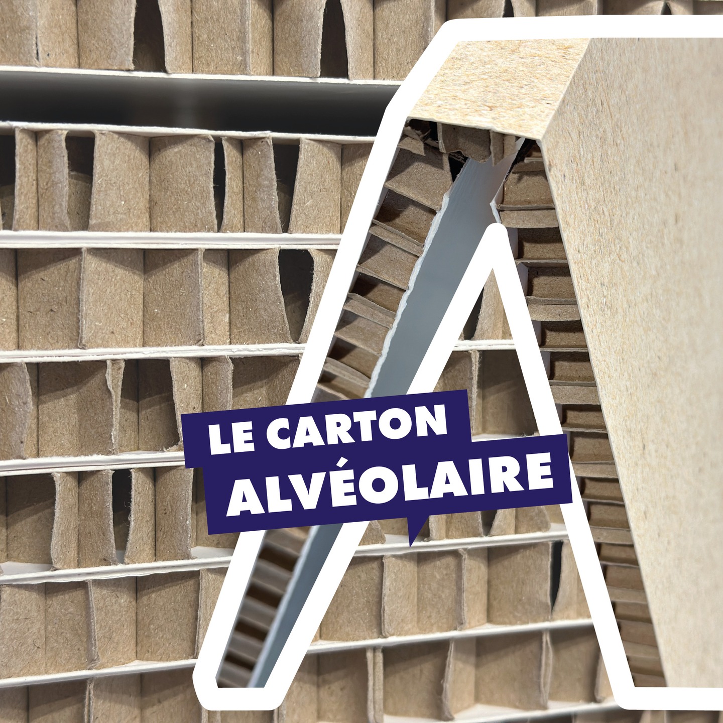 🌱 Et si votre signalétique alliait impact visuel et engagement écologique ?
♻️ Faites la différence avec le carton alvéolaire, un support innovant, recyclé et 100% recyclable.
Idéal pour une communication responsable, il offre légèreté, rigidité et une qualité d’impression optimale.
Soyez à la pointe des tendances en adoptant une solution éco-responsable sans compromis sur l’esthétique et la durabilité.
Valorisez votre engagement avec une signalétique qui reflète vos valeurs et capte l’attention de votre audience.
Envie d’en savoir plus ? Contactez-nous !
☎️ 05 57 92 79 80 - 📧 ais@beria.fr
🌍 https://linktr.ee/AISBeria