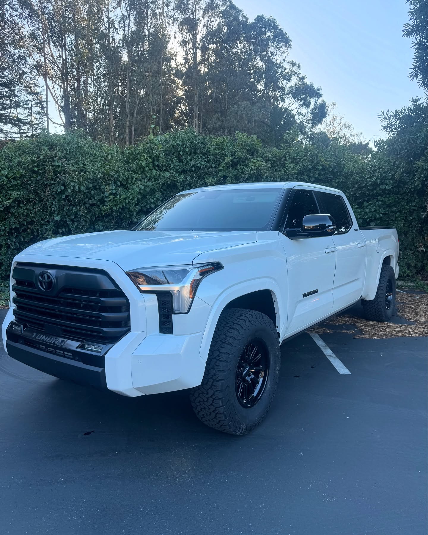 PTS Built
2024 Toyota Tundra
Repeat customer came in for suspension modifications to the truck:
•Icon Stage 6 Suspension Kit
•BFG KO2 35x12.5r18
•Method 323 18x9
•Retrax Bed Cover
The customer will be coming back for a color matched grill and emblem in the near future!
#ptsbuilt #pts #precisiontruckspecialties #toyota #iconvehicledynamics #iconsuspension #coilovers #methodracesheels #methodwheels #method #bfgko2 #tundra