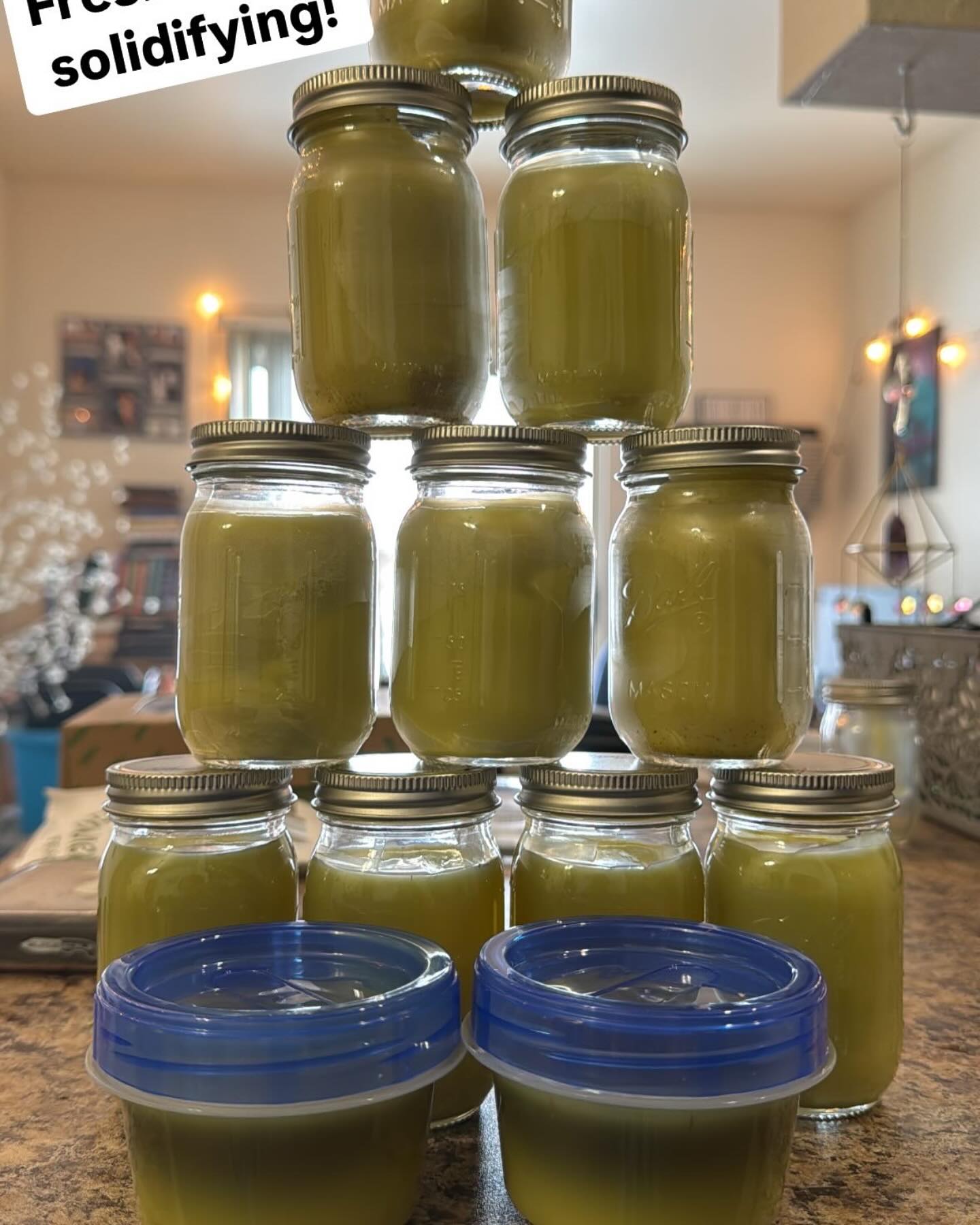 My yearly medicated Salve drop went SWIMMINGLY!
Thank you to everyone that supported this sale, I am proud to announce we have hit all of our goals for our charity events!
We will be building ANOTHER (maybe 2)Fresh Water Wells with the help of @wellsofdharma!
Thank you to everyone that has helped make this dream of mine come true! 💦💧🌊
One love! ❤️