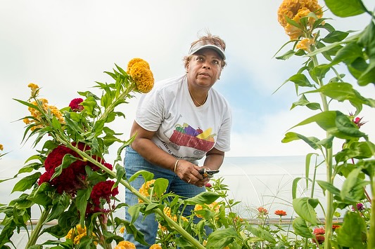 The 240th thru 251st Real Farmer Care recipients are Anita Roberson in VA @fredbg_farmers Jennifer Clark in WA @rootsfarmwa Jeremiah Grisa in NY @schenkhomesteadfarm Sarah Snow in OR @octopus.herb.garden Erin Bullock in NY @thewildhill Jamie Swofford in NC @oldnorthfarmwnc Colin Fischer in WA @wanderwoodfarm Chelsea Belle Graves in VA @beeswingfarm_flowers David Wells in TN @henosismushrooms Brooke Keller in TX @betterdaysgardens Mayda Pozantides in NY @gwmgbflo and Hannah Helfner in MA @brookwood_farm
This cohort of 12 recipients share what I call ‘Body Repair Care’ as their self-care activity, which is mostly in the form of restorative massages and other reparative body care.
When asked ‘What does self-care mean to you in the context of farming?’ recipient Anita Roberson responded, “Self-care and well-being are intertwined relationships that earth stewards must make high priority to maintain physical, mental, and spiritual wellness in spite of the demands and challenges of agricultural work. Prioritizing self-care is wellness!”
When asked, ‘How might you use this $100 self-care award?’ recipient Colin Fischer replied, “I would use the award to visit a massage therapist specializing in treating repetitive stress injuries and back pain. This treatment would help relieve the physical strain that comes with farming. It’s remarkable how much an aching and perennially injured back can amplify stress levels, especially for someone managing a physically and mentally demanding workload.”
When asked, ‘What are your most important self-care needs as a farmer?’ recipient Chelsea Belle Graves stated “After farming for sixteen seasons, this was the first season that I have felt “old”. I am not old, I’m only 36. The physicality of farming is one of the things I love most about it, but I’m realizing I need to do more self-care and body work to keep me strong and pain free.”
To view each recipient and read more about their thoughts on farmer self-care and the questions above, please visit RealFarmerCare.com (link in bio) to read their stories.
More recipients to come!
#realfarmercare