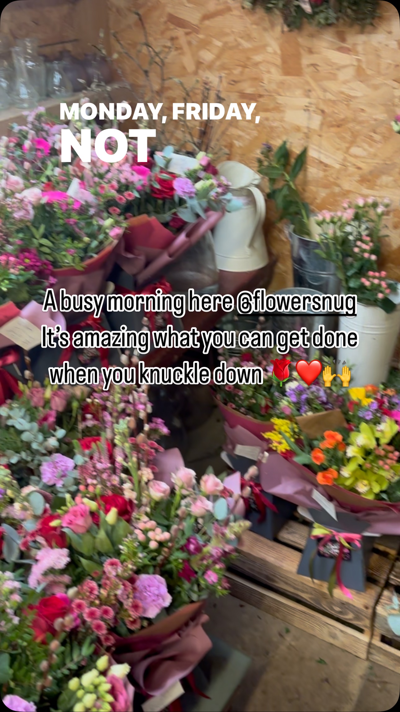 Busy busy bee 🐝
Thank you for the continued support 🌹🌷❤️💐🥰