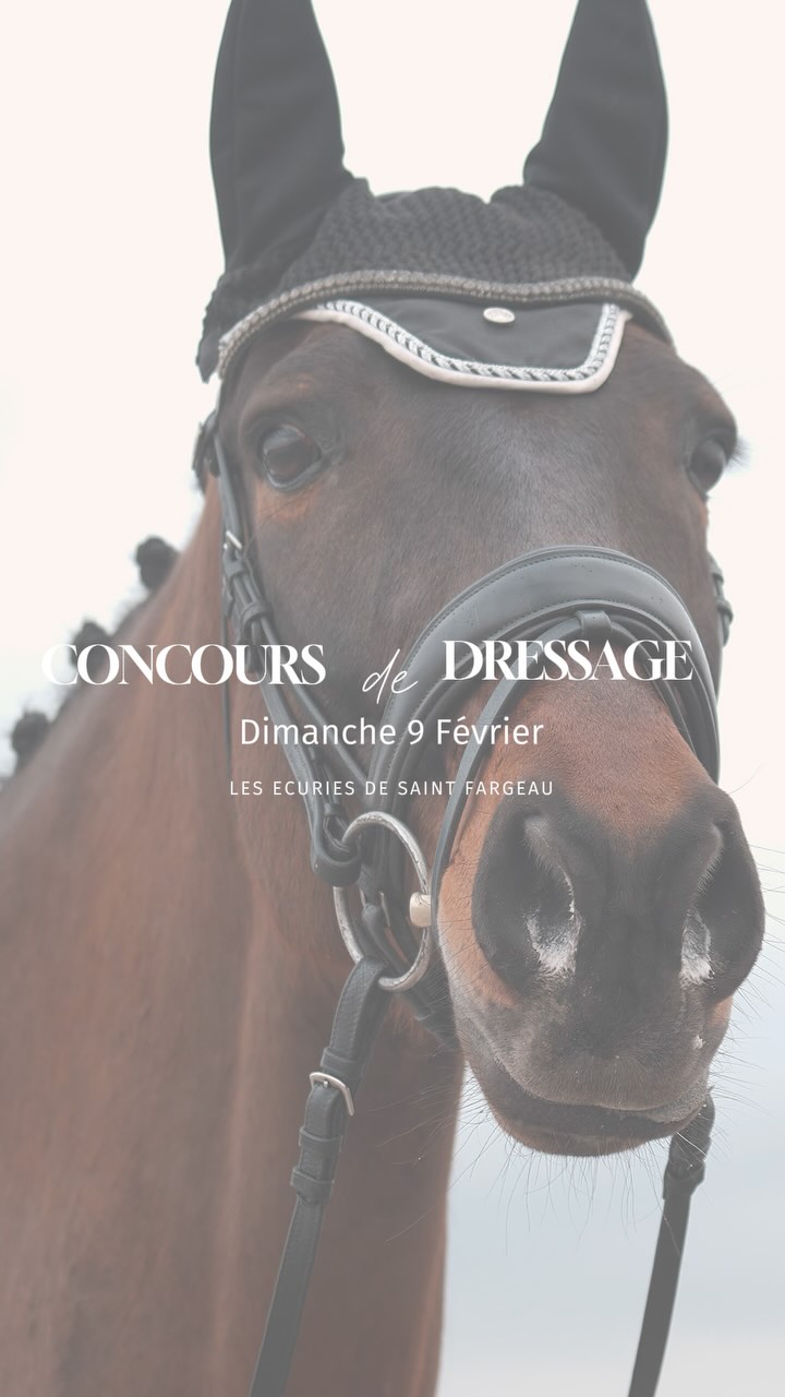 @camsoagency X @chateau.laroche , partenaires des Écuries de Saint-Fargeau, qui organisaient ce 9 février 2025 un magnifique concours de dressage. ✨ Une journée placée sous le signe de l’élégance, sur un terrain d’exception !
Félicitations à tous les cavaliers et cavalières pour leurs performances ! Nous avons eu le plaisir de récompenser certains podiums avec des flacons de Château Laroche, un domaine viticole familial qui propose des vins à l’image de son terroir et d’un savoir faire transmis depuis 3 générations !🍷
Merci aux Écuries de Saint-Fargeau et particulièrement à @liloujulitte pour l’organisation et l’accueil très chaleureux ! 🫶
#dressage #concourséquestre #équitation #fontainebleau #dressagehorse #ecuriesdesaintfargeau #camsoagency #chateaularoche #deveaucoux #forestiersellier