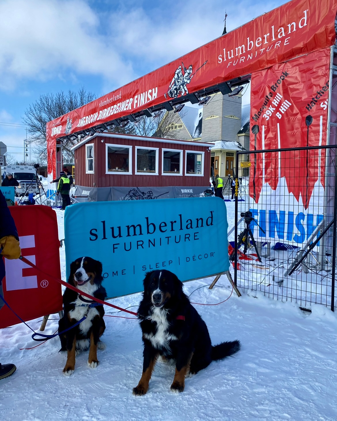 The @americanbirkebeiner is finishing downtown! Keep thinking snowy thoughts over the next few days, but a week from now, the first events of the 51st Birkie will be kicking off ❄️
We love this annual celebration of winter and the outdoors in @hayward_wisconsin. The event brings thousands of spectators and participants from all over the world to the North Woods of Wisconsin for all sorts of snowy fun! We will be there this year - excited to watch the finishers ski down Main Street!
#ernieoftheday #bertoftheday