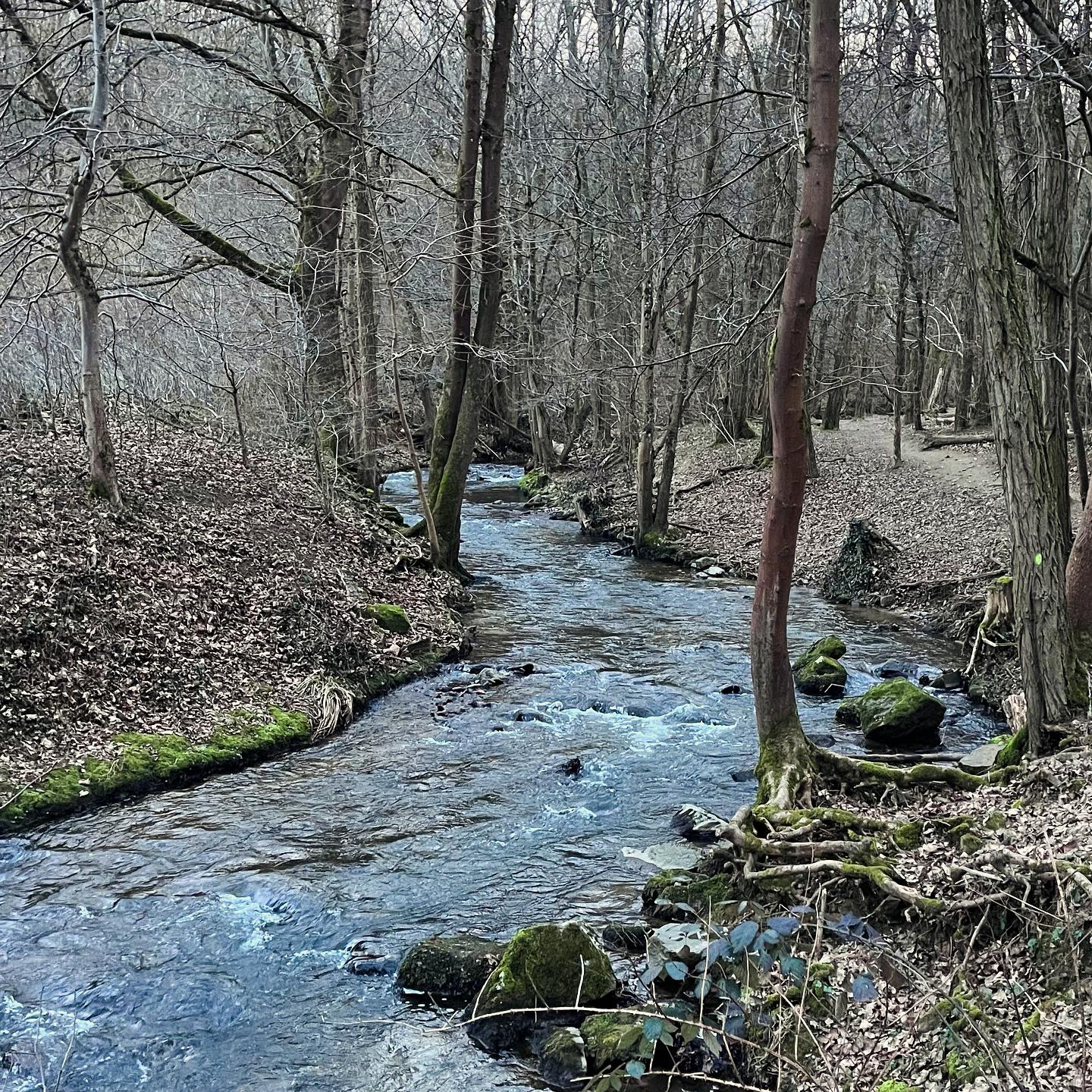 ✨ÊTRE UNE FEUILLE … 🍃
« Le bonheur ne se trouve pas d’effort et de volonté, mais réside là, tout près, dans la détente et l’abandon. Ne t’inquiète pas, il n’y a rien à faire. Tout ce qui s’élève dans l’esprit n’a aucune importance parce que n’a aucune réalité. Ne t’y attache pas. Ne te juge pas. Laisse le jeu se faire tout seul, s’élever et retomber, sans rien changer, et tout s’évanouit et commence à nouveau sans cesse. Seul cette recherche du bonheur nous empêche de le voir. C’est comme un arc-en-ciel qu’on poursuit sans jamais le rattraper. Parce qu’il n’existe pas, qu’il a toujours été là et t’accompagne à chaque instant. Ne crois pas à la réalité des expériences bonne ou mauvaise, elles sont comme des arc-en-ciel. À vouloir saisir l’insaisissable, on s’épuise en vain. Dès lors qu’on relâche cette saisie, l’espace est là, ouvert, hospitalier et confortable. Alors, profites-en. Tout est à toi, déjà. Ne cherche plus. Ne va pas chercher dans la jungle inextricable l’éléphant qui est tranquillement à la maison. Rien à faire. Rien à forcer. Rien à vouloir. Et tout se fait tout seul. »
Lama Guendune Rinpoche
.
Une jolie surprise au détour d’une balade en forêt dans la banlieue lyonnaise, un beau temple bouddhiste tibétain.