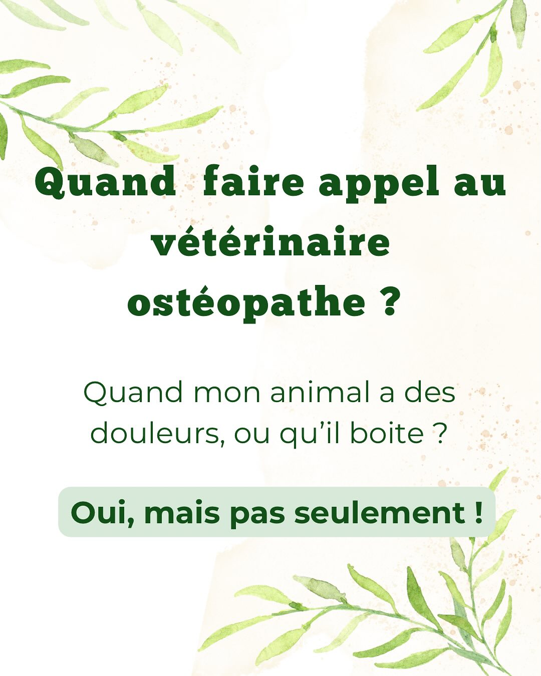 Quand faire appel au vétérinaire ostéopathe ? Les indications de l’ ostéopathie sont souvent méconnues. En soins ou en prévention, pour le confort de votre animal, pensez à consulter ! 🌸