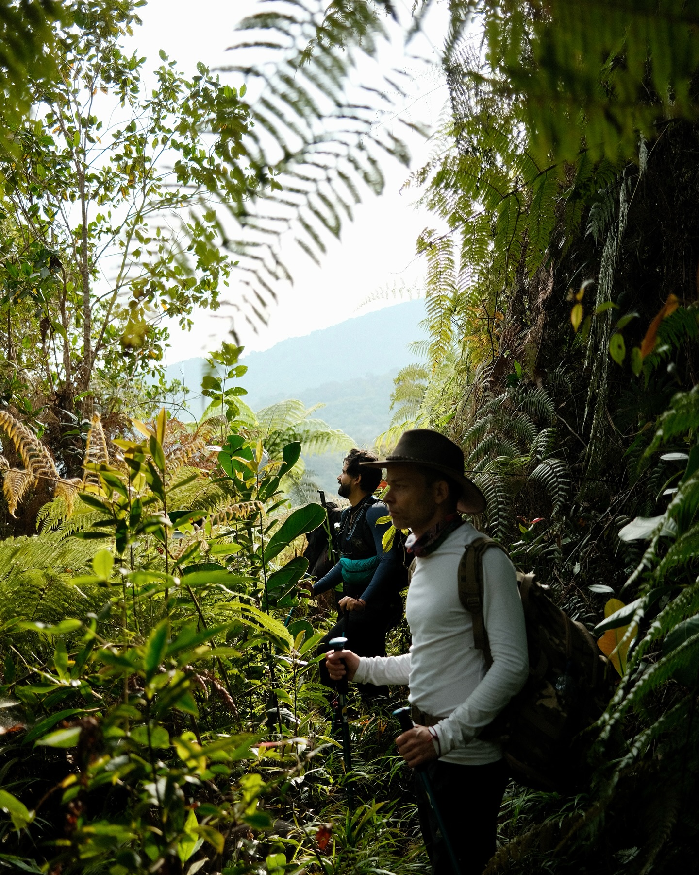 El fin de semana estuvimos haciendo una travesía de San Vicente de Chucurí a Barichara. El primer día pernoctamos en San Vicente de Chucurí y en la madrugada del segundo día caminamos desde la vereda La Siberia hasta Zapatoca atravesando por el Parque Nacional Serranía de los Yariguies. En esta parte de la travesía caminamos entre el bosque húmedo alto andino, donde pudimos observar diferentes tipos de aves e insectos, entre otras especies. El estado del camino está un poco tapado, en algunos tramos por la misma naturaleza, pero eso también le da su encanto y termina siendo un reto esquivar ramas y árboles caídos. Es un ascenso de 11 kms con 1.061 mtrs de ascenso continuo hasta llegar a un ecosistema de subpáramo. Es increíble caminar este tramo que pasa por diferentes pisos térmicos. Luego, el descenso a Zapatoca es un 5% camino ancestral, y un 95% por carretera destapada. Allí pernoctamos.
El 3er día salimos madrugados desde la tienda Montenegro e iniciamos un descenso largo y retador hacia Puente Ruedas. El camino está bastante olvidado y con bastante flora característica del bosque seco tropical. Muchos árboles de espinas y cactus. Luego de Puente Ruedas iniciamos un caluroso ascenso hacia Guane. El camino en esta parte del recorrido está bastante bien. El reto de este tramo está en el clima y el cansancio ya que luego de bajar 8 kilómetros debíamos tener todavía piernas para los últimos 12 kms de ascenso hasta Barichara.
📸 @juliangomez0