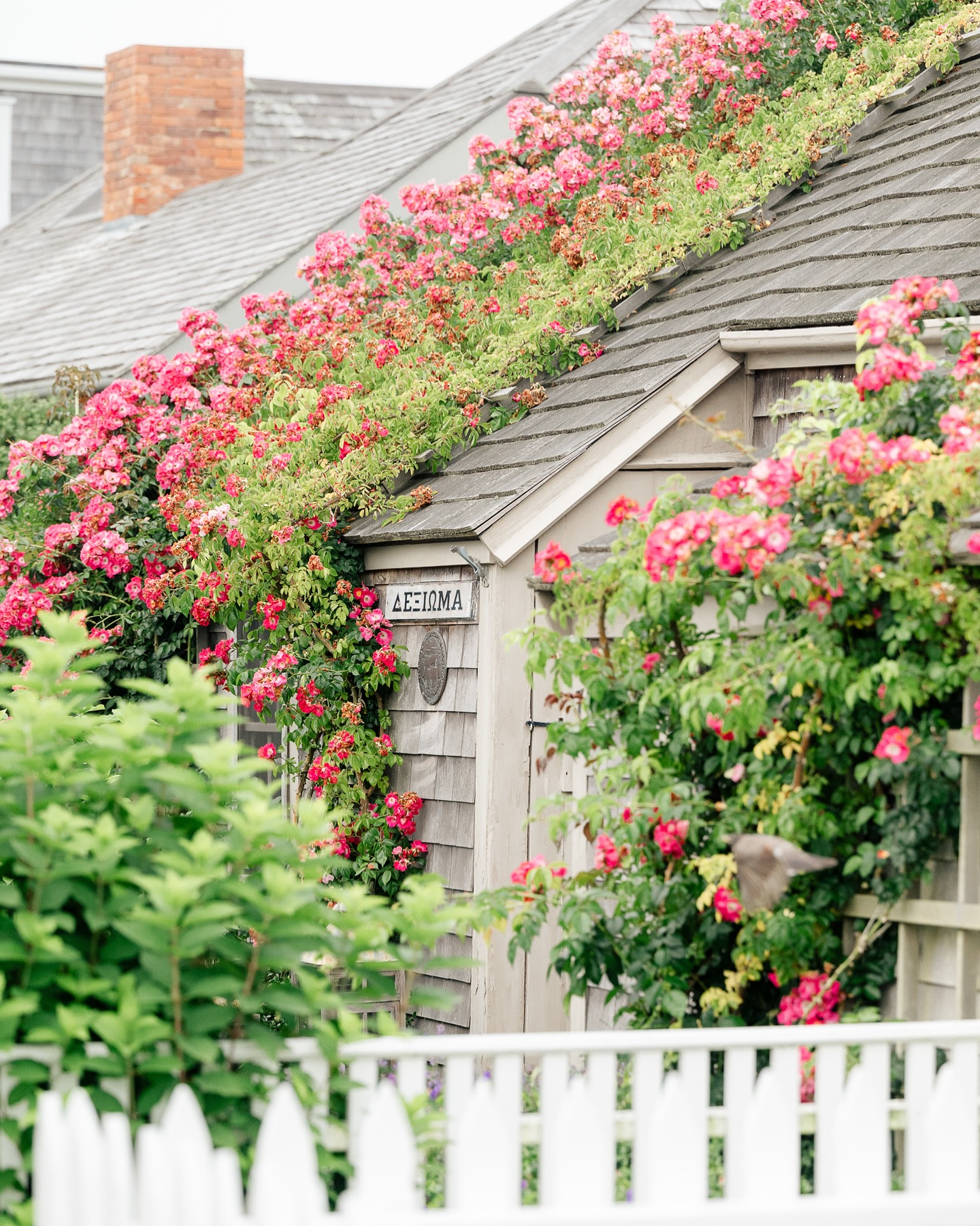 Happy Valentine’s Day from our little island. 🌊
#nantucket #seaworthynantucket