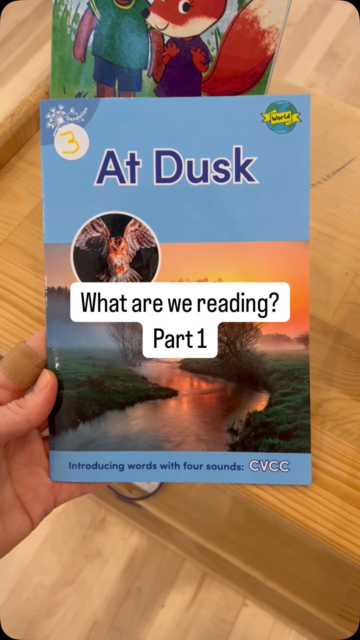 We put a lot of emphasis on reading and learning to read here at Acton Academy Nanaimo. As a mom of a child who struggled with reading, this is a subject that’s near and dear to my heart. Watching these heroes build confidence in this area has been one of the most rewarding parts of this journey by far 🥹
I thought it would be fun to give you a sneak peek at our Science of Reading aligned bookshelf. We do have lots of other picture books in studio, but this shelf is specifically for books that are scaffolded to the phonetic lessons these children are learning through their e-learning programs.
…split into two reels because apparently I had a lot to share 😂🙈🤷🏻♀️