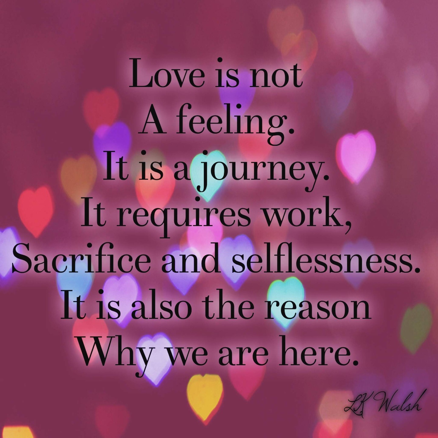 Happy #ValentinesDay everyone! A day to remember that love in all its forms is the reason we are here! Share the love!
.
.
.
#valentine #love #share