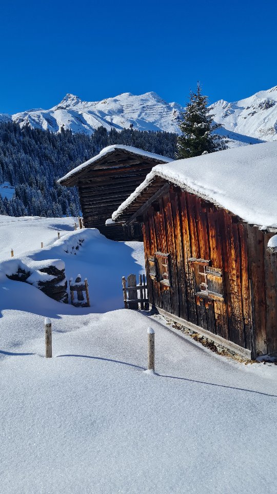 Eiskalte, klirrende Bergluft. Wärmende Sonnenstrahlen im Gesicht. Ringsherum: unberührte glitzernde Schneedecken und Stille. Schneeschuhe anschnallen und los geht das Tiefschneestapfen. Und mit jedem Schritt steigt das Glücksgefühl.
Bei einer geführten Schneeschuhwanderung erlebst du den Winter hautnah. Bist du dabei?
#winterwandern #schneeschuhwanderung #wandern #winter #hike #iguideyou #bergliabi #naturelover #pulverschnee #mountain #muntafu #uimlaguide