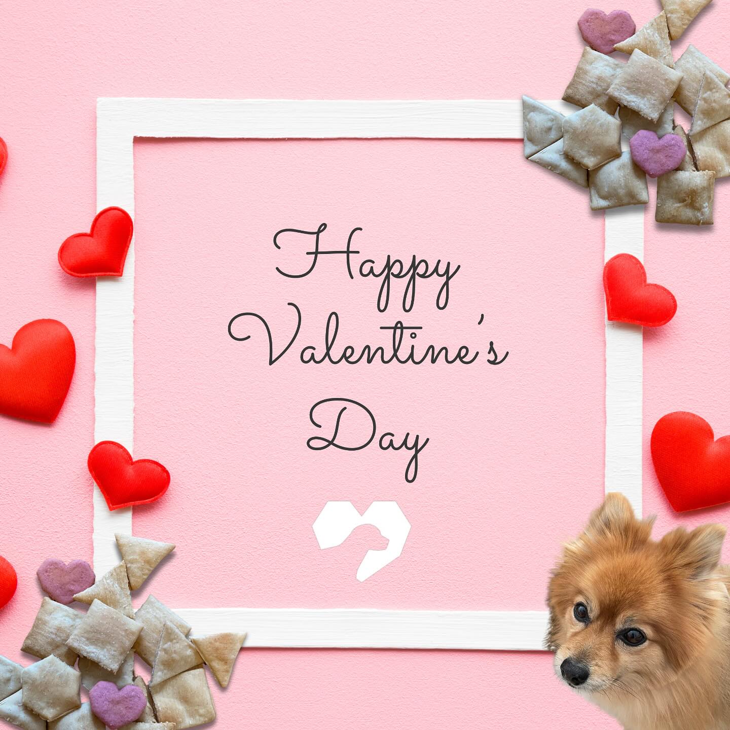 Happy Valentineโs Day to everyone โค๏ธ๐ถ