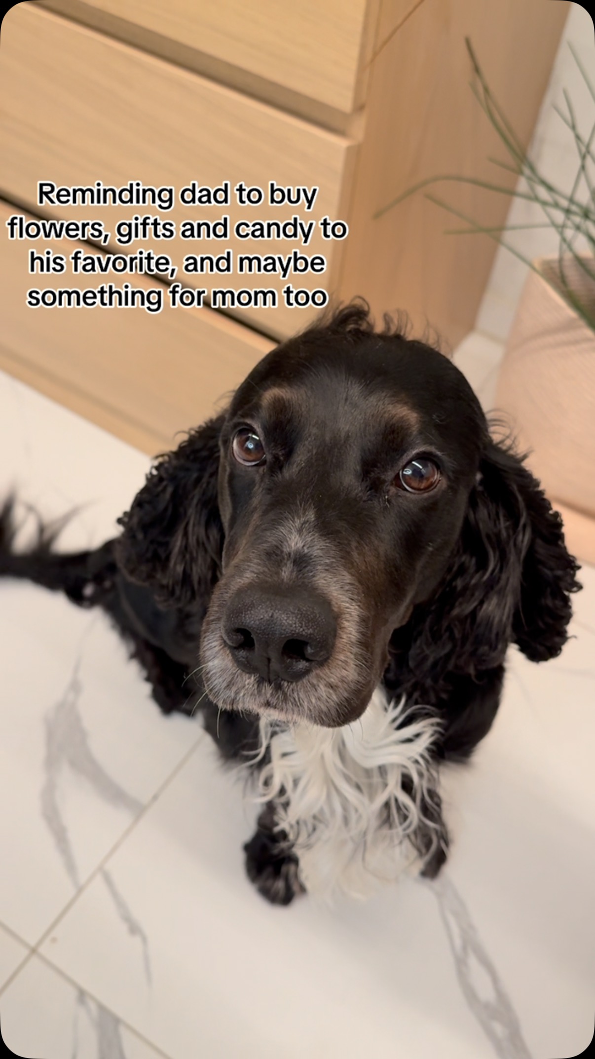 God valentines i dag 💞