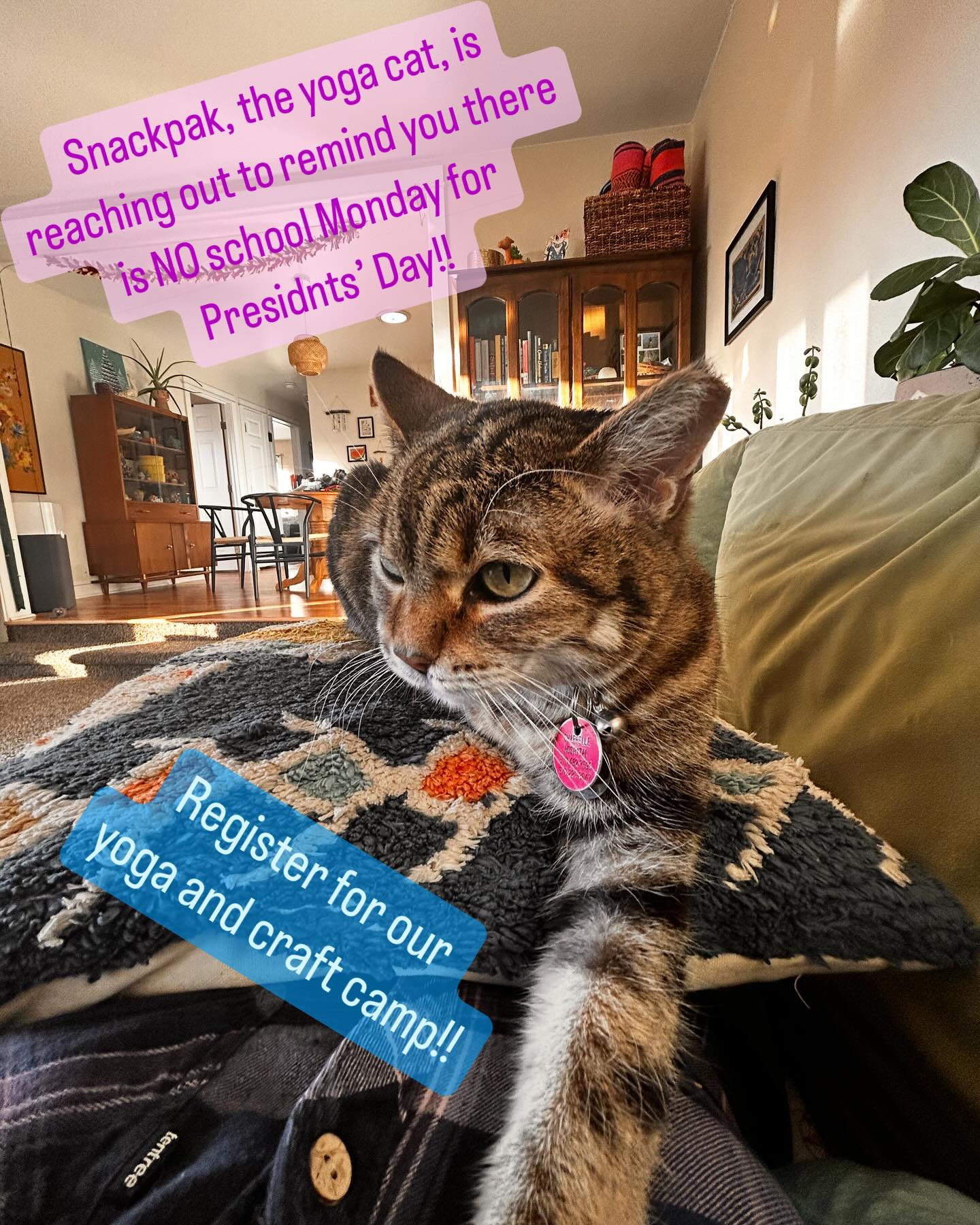 Snackpak, the yoga cat, is reaching out to remind you that there is NO school Monday for Presidents’ Day!!
Register for our yoga and craft all-day camp!!
#yogacamp #focoyogashack #yogakids #yogacrafts #yogacraftmeditation